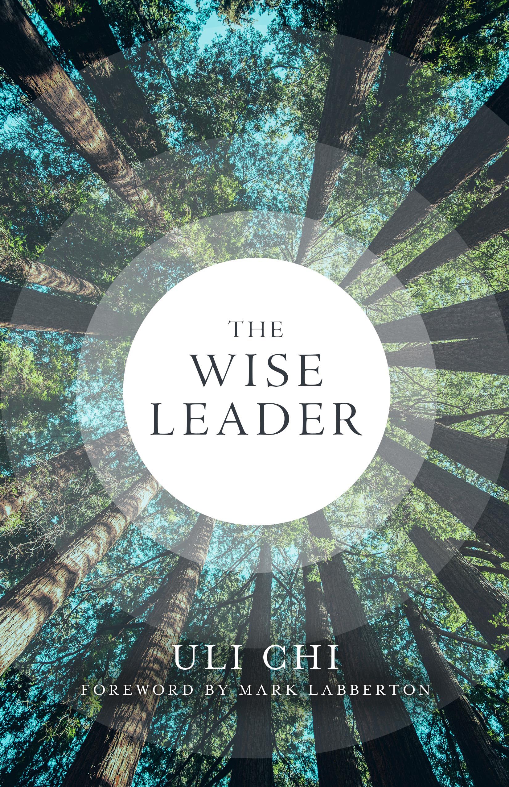 The Wise Leader,New