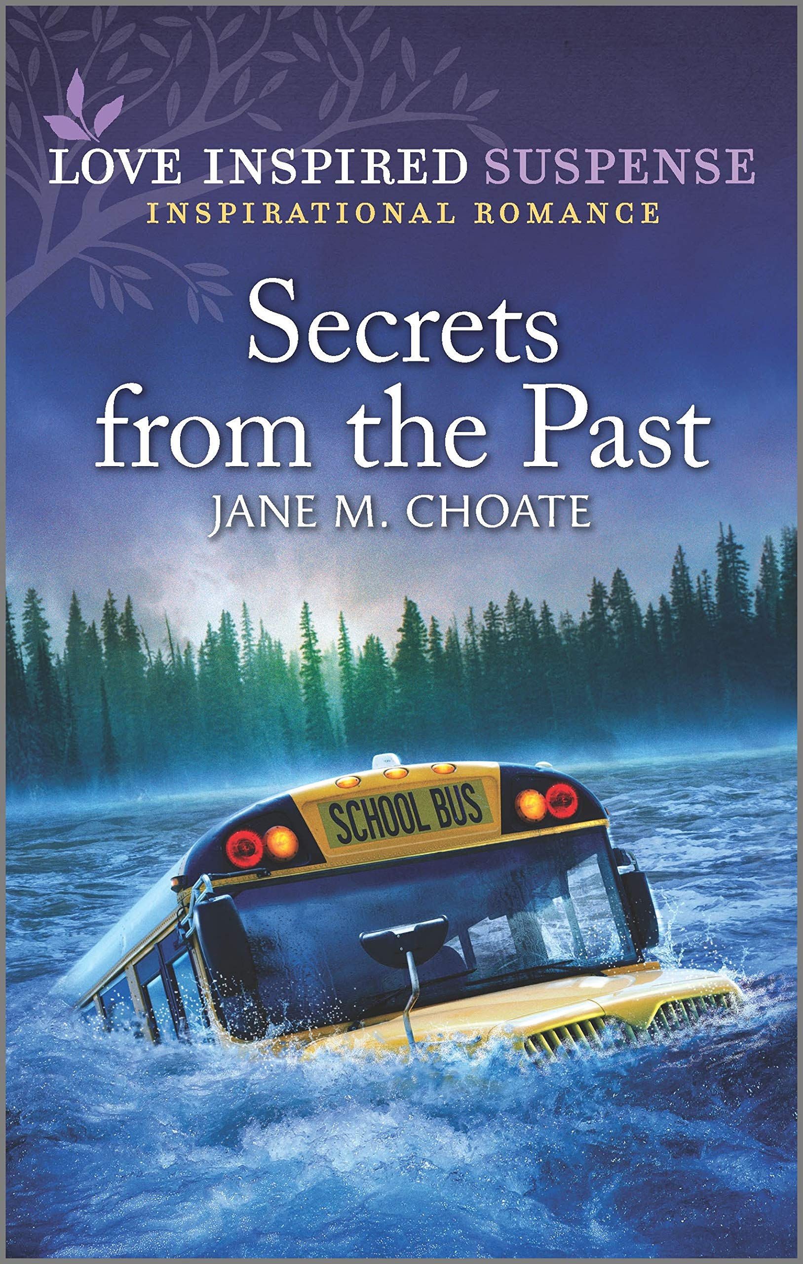 Secrets from the Past (Love Inspired Suspense),Used