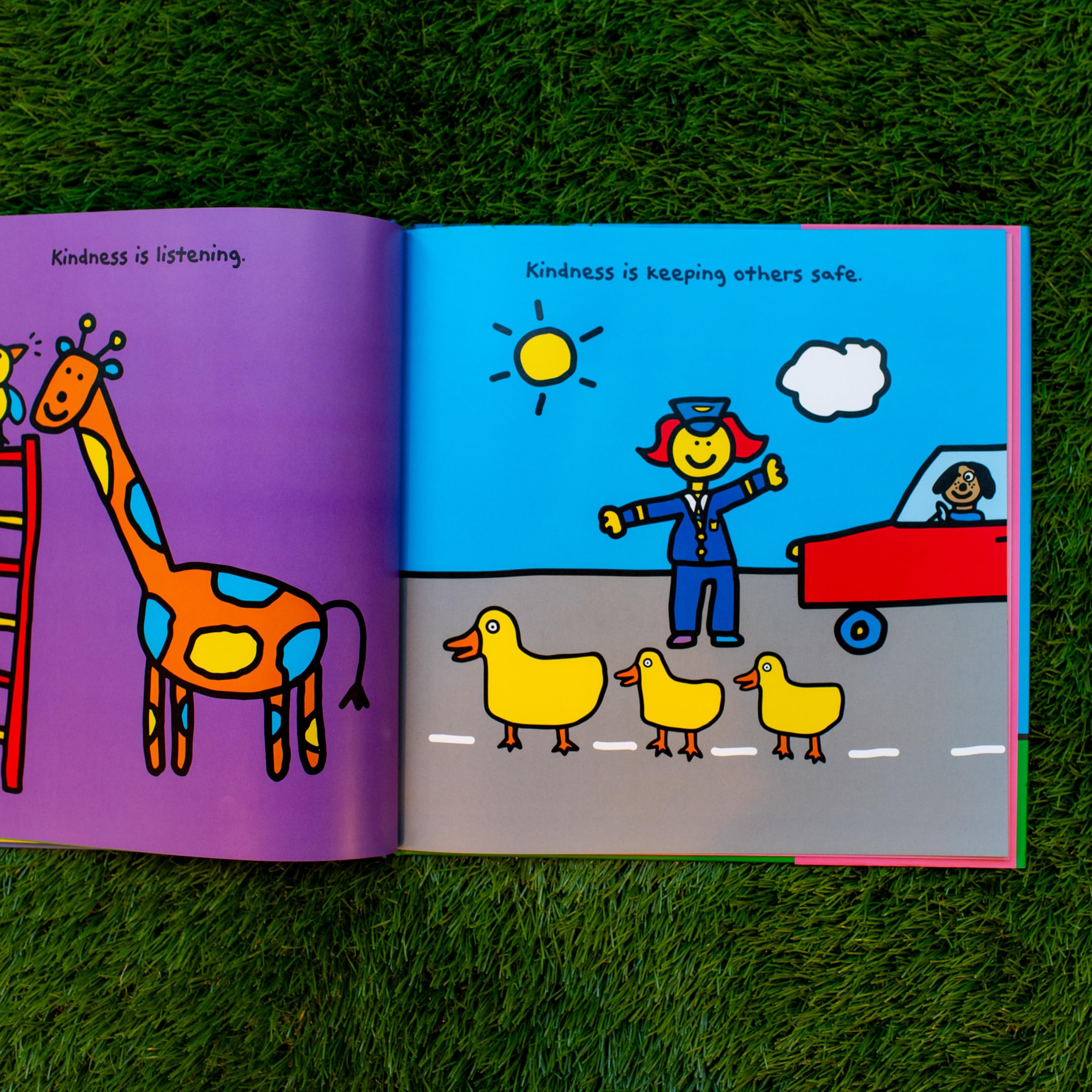 The Kindness Book,Used