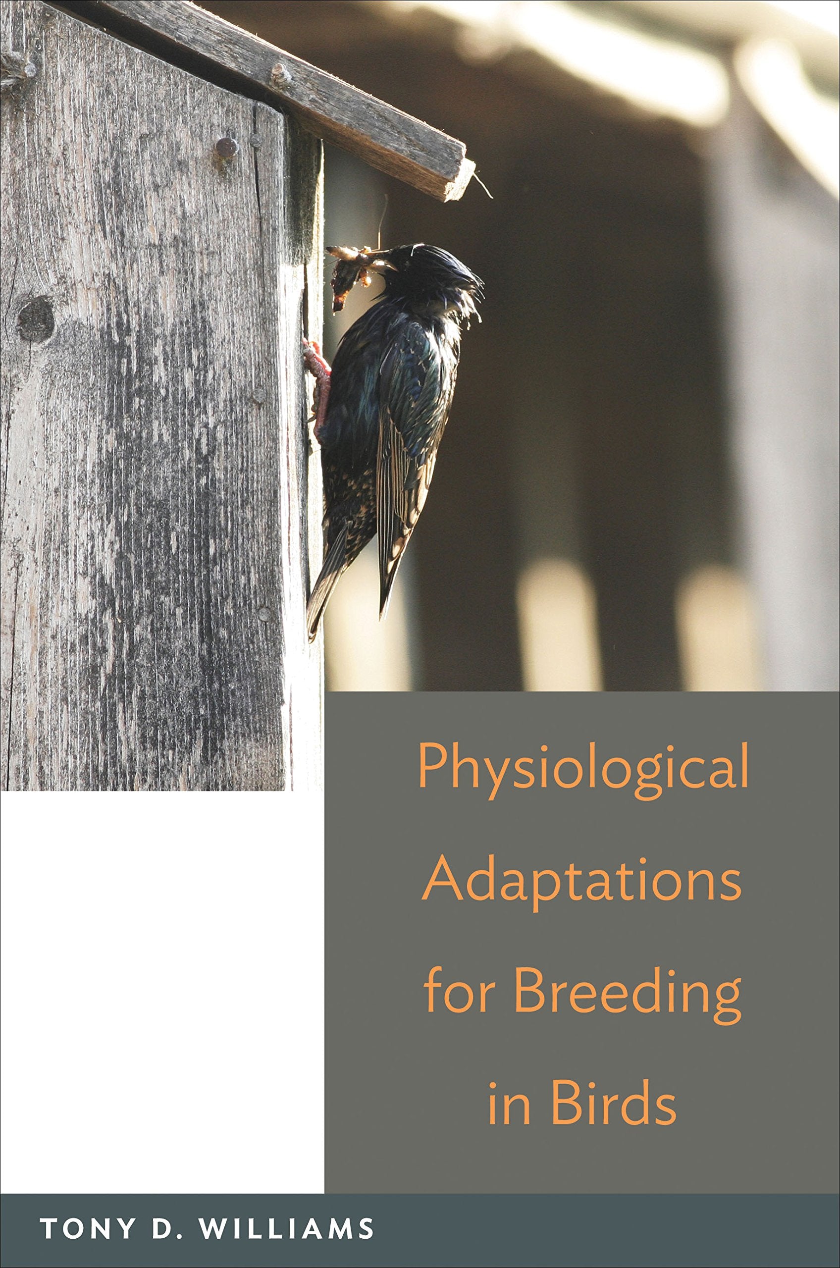 Physiological Adaptations For Breeding In Birds,Used