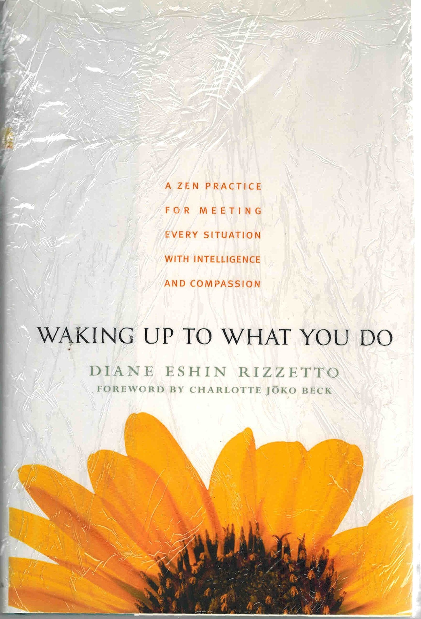 Waking Up to What You Do: A Zen Practice for Meeting Every Situation with Intelligence and Compassion,Used