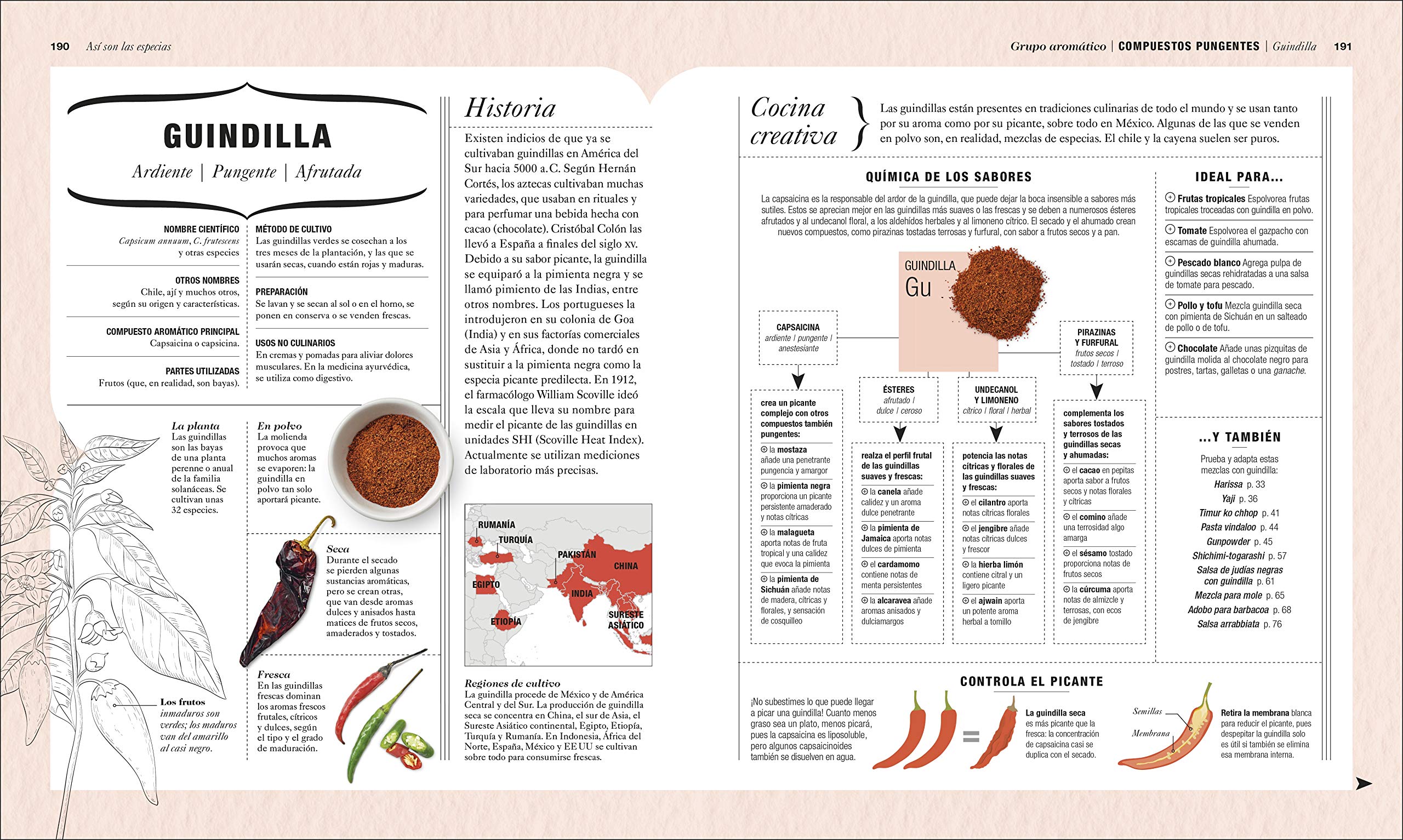 La ciencia de las especias: Or?genes de las especias y principios b?sicos para usarlas y combinarlas en la cocina,Used