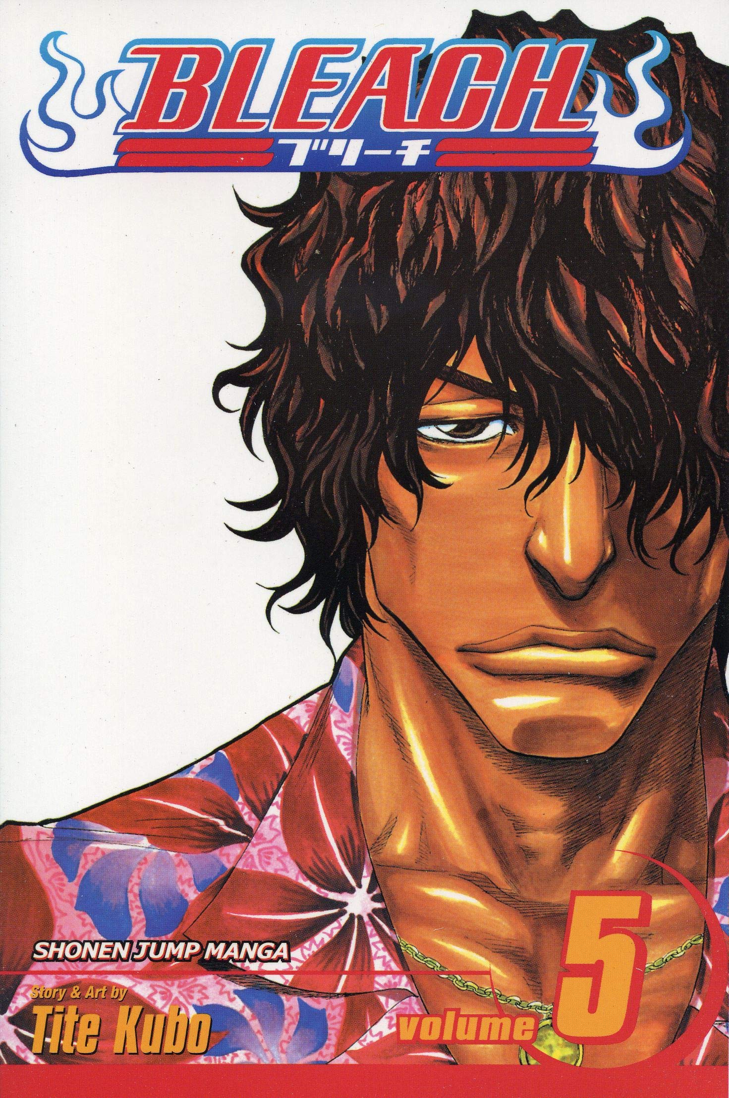 Bleach, Vol. 5,New