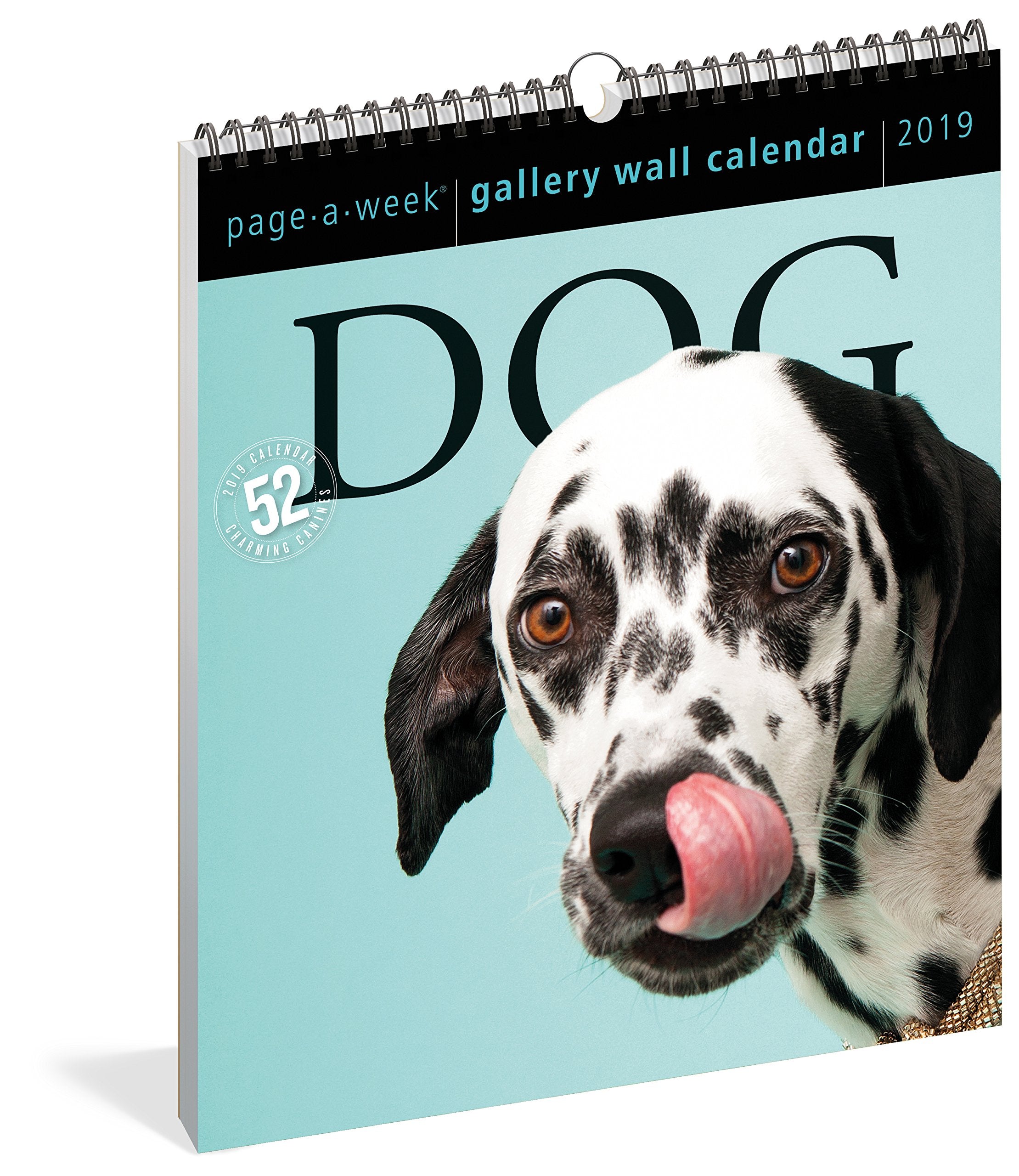 Dog PageAWeek Gallery Wall Calendar 2019,New