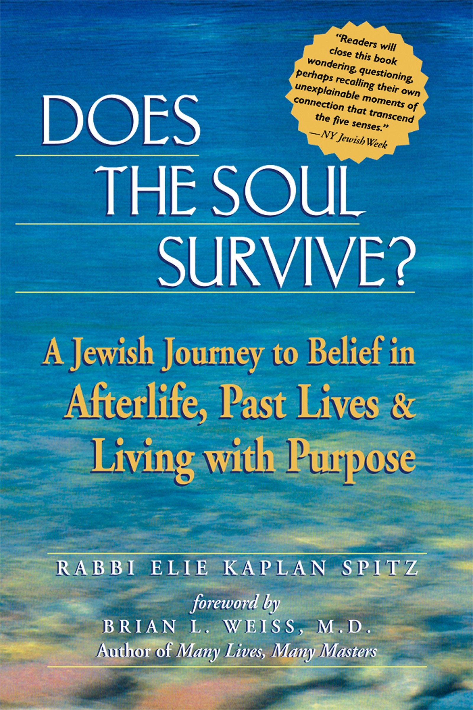 Does the Soul Survive?: A Jewish Journey to Belief in Afterlife, Past Lives & Living with Purpose,Used