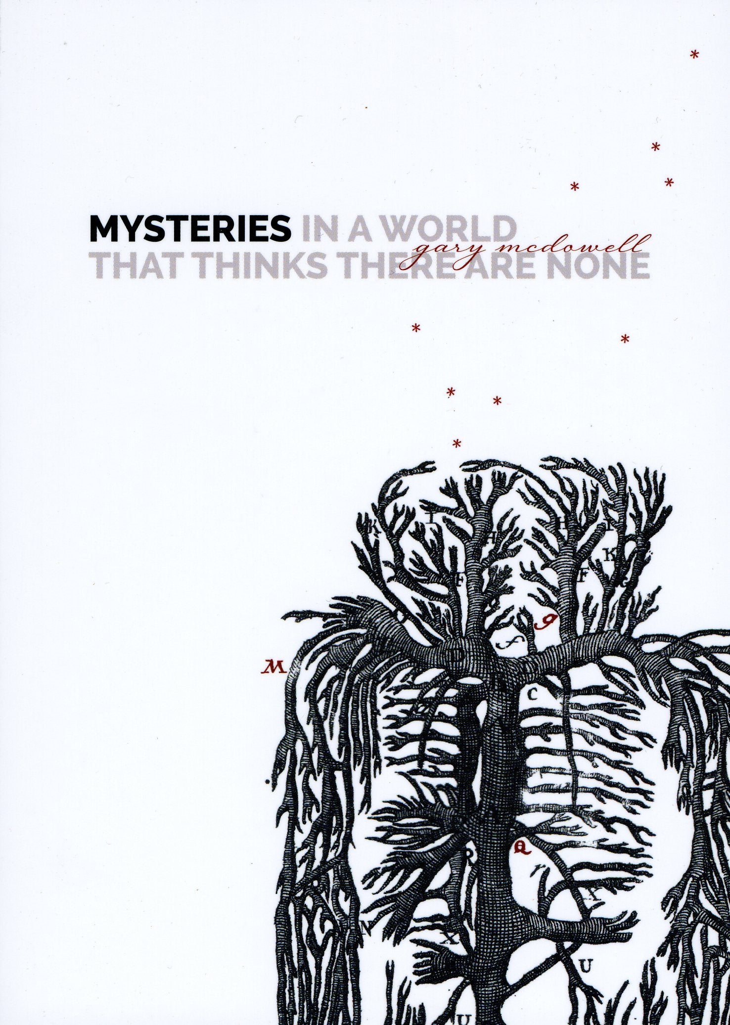 Mysteries In A World That Thinks There Are None,Used
