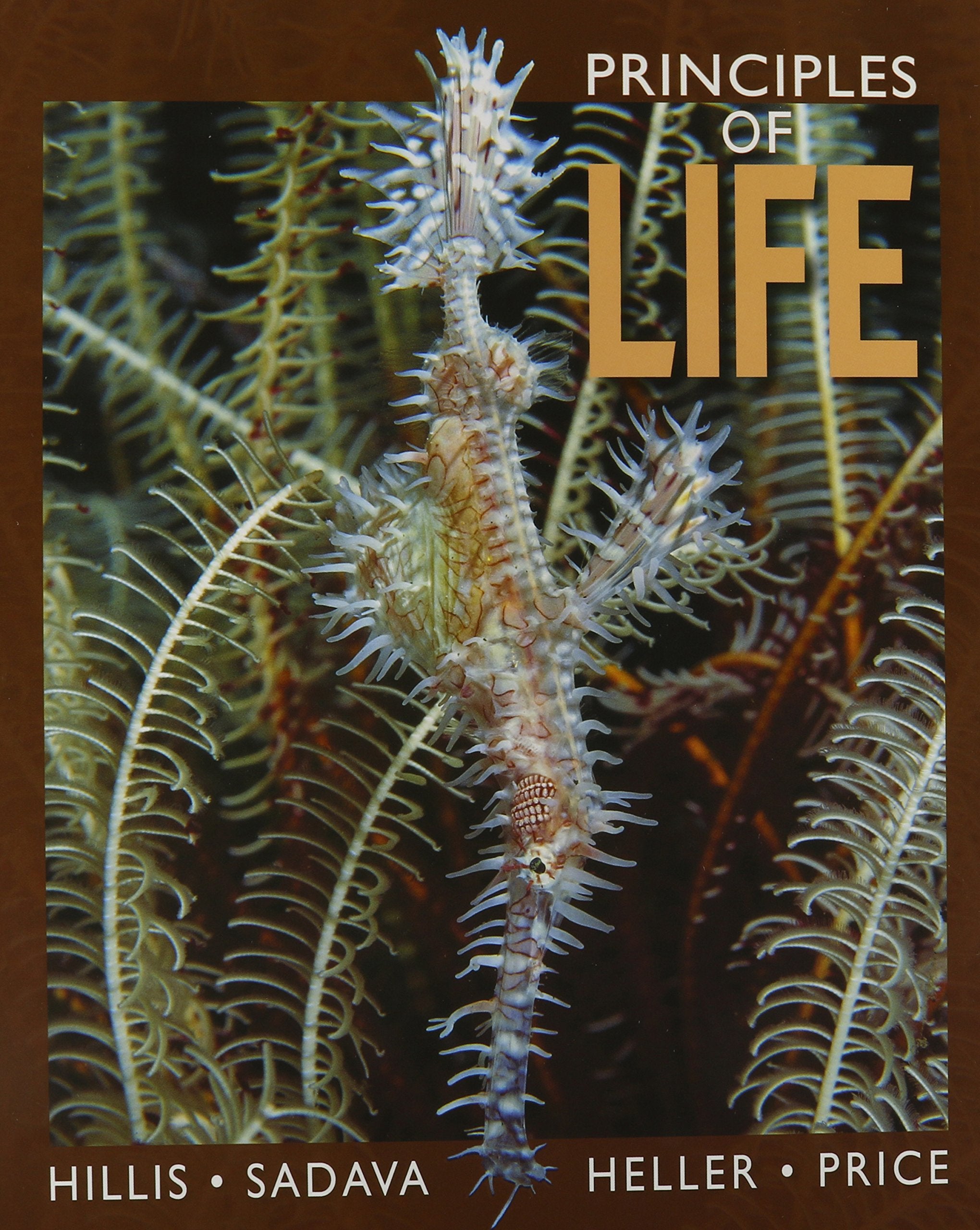 Principles of Life + Bioportal,Used