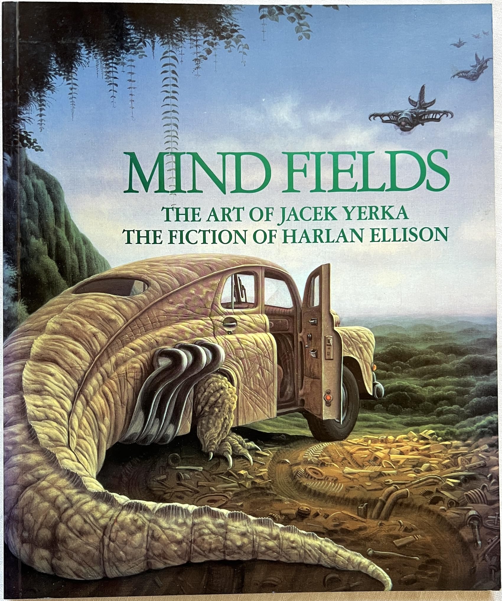 Minds Fields,New