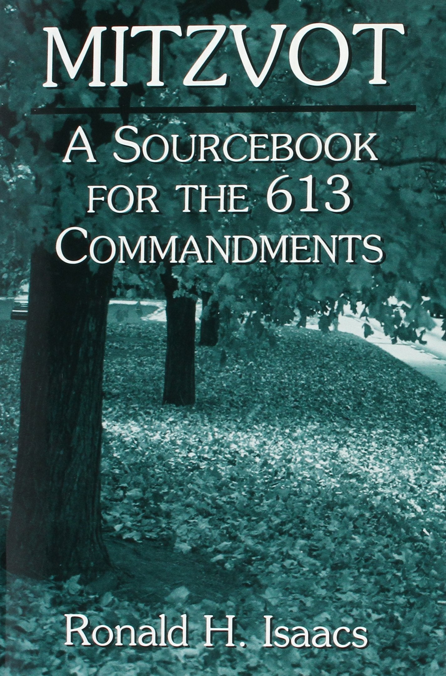 Mitzvot: A Sourcebook for the 613 Commandments,Used