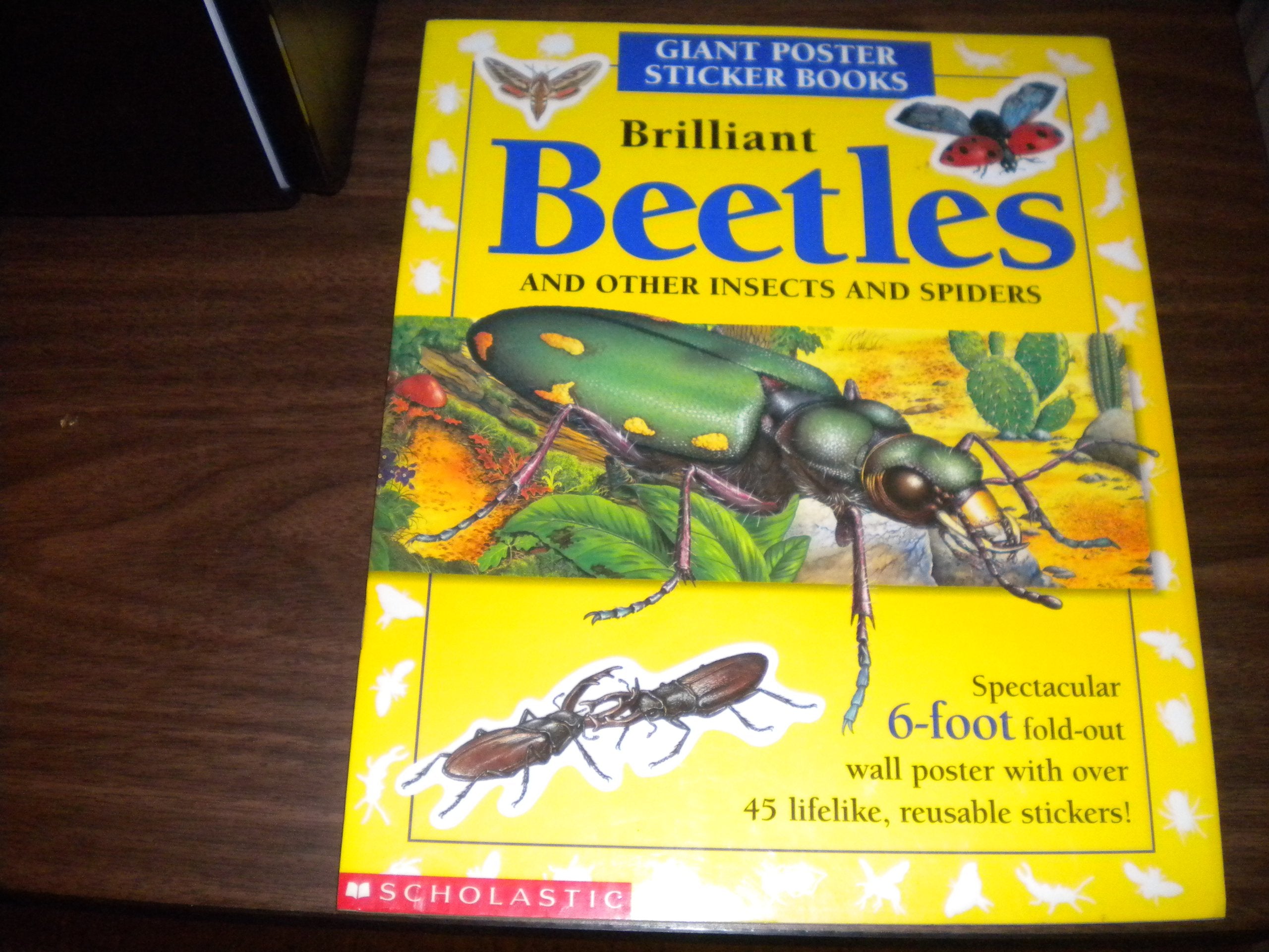 Brilliant Beetles: And Other Insects and Spiders (Giant Poster Sticker Book),Used