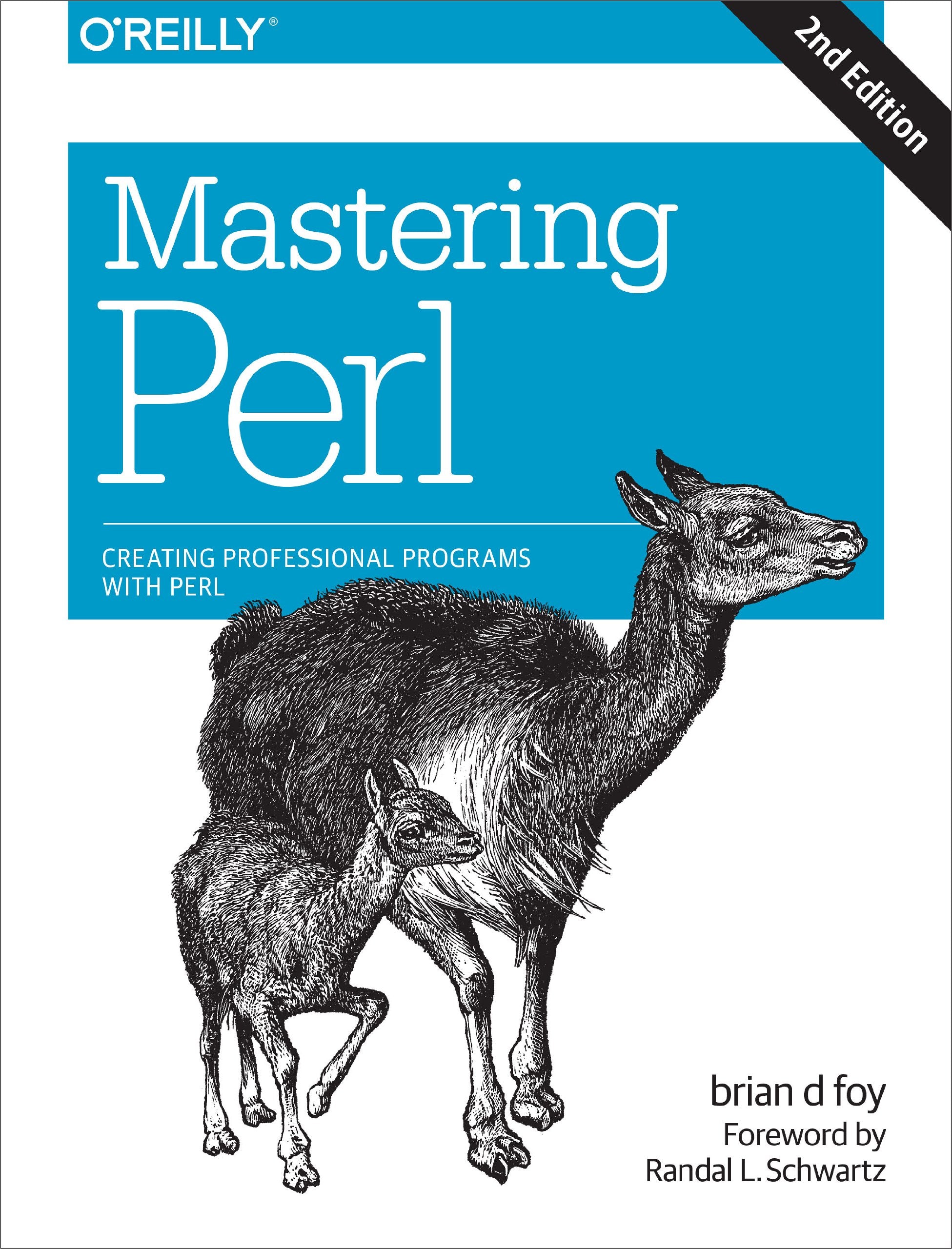 Mastering Perl: Creating Professional Programs With Perl