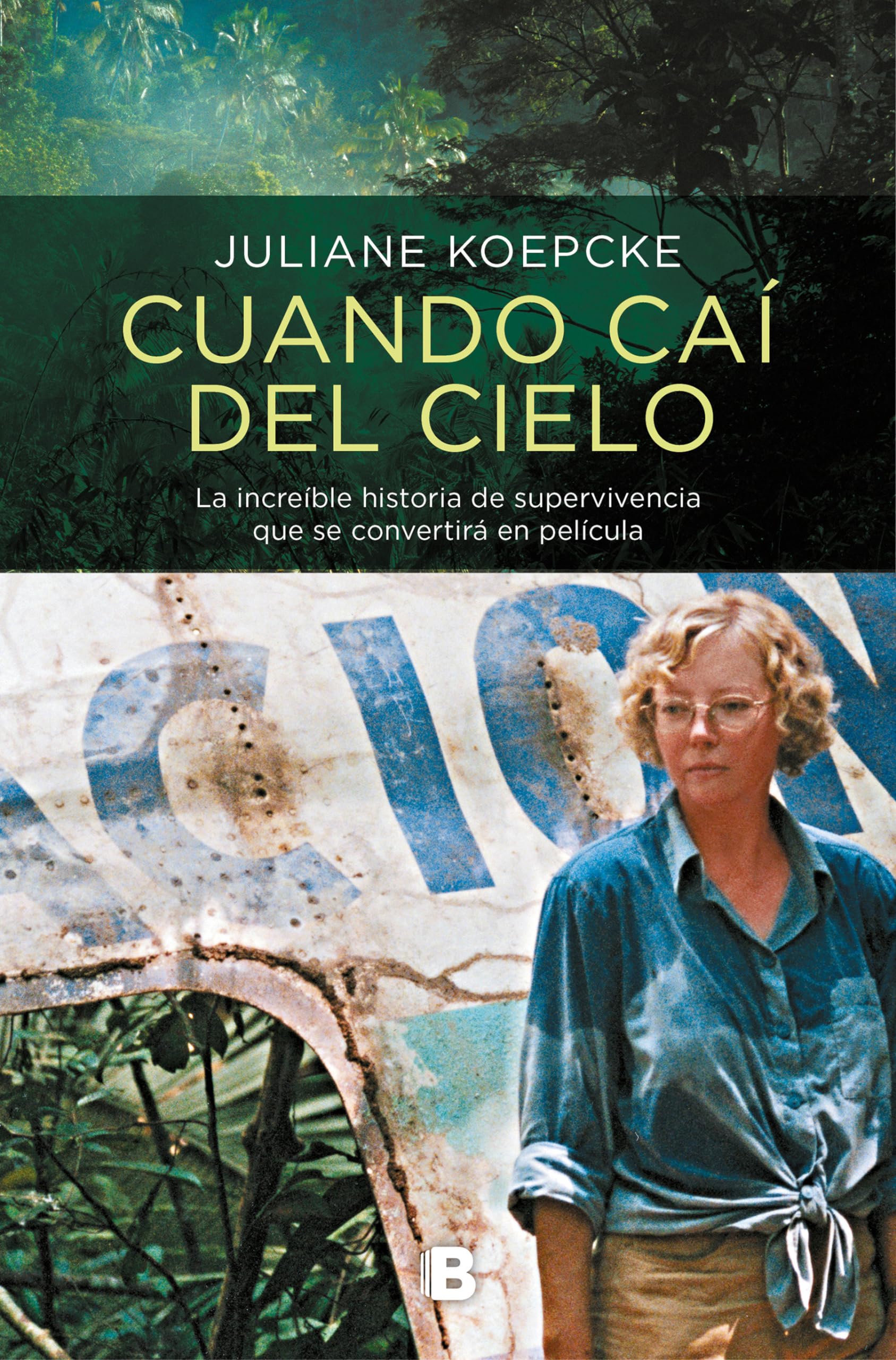 Cuando ca del cielo / When I Fell From the Sky (Spanish Edition),Used