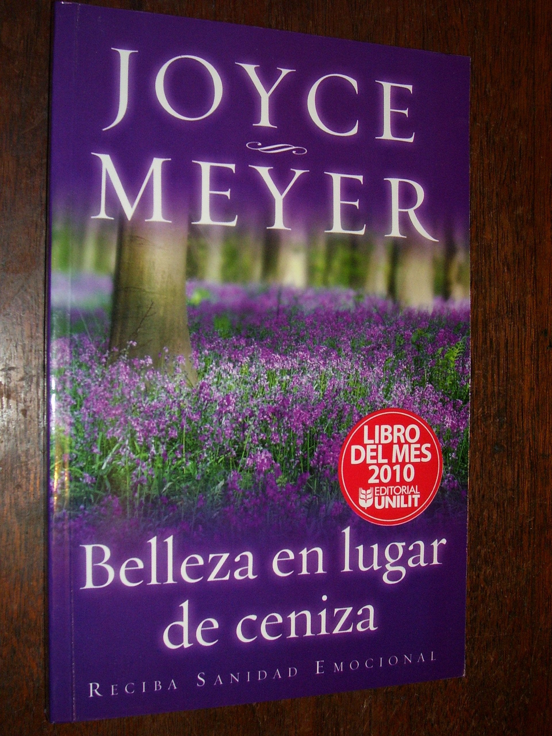 Belleza En Lugar De Ceniza : Beauty For Ashes,New