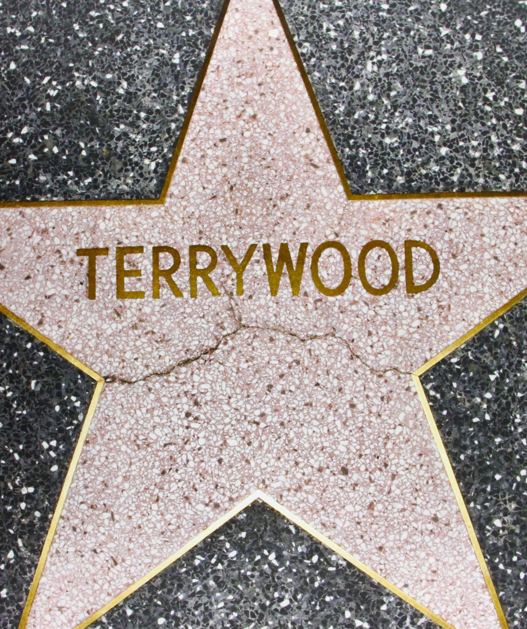 Terry Richardson: Terrywood,Used
