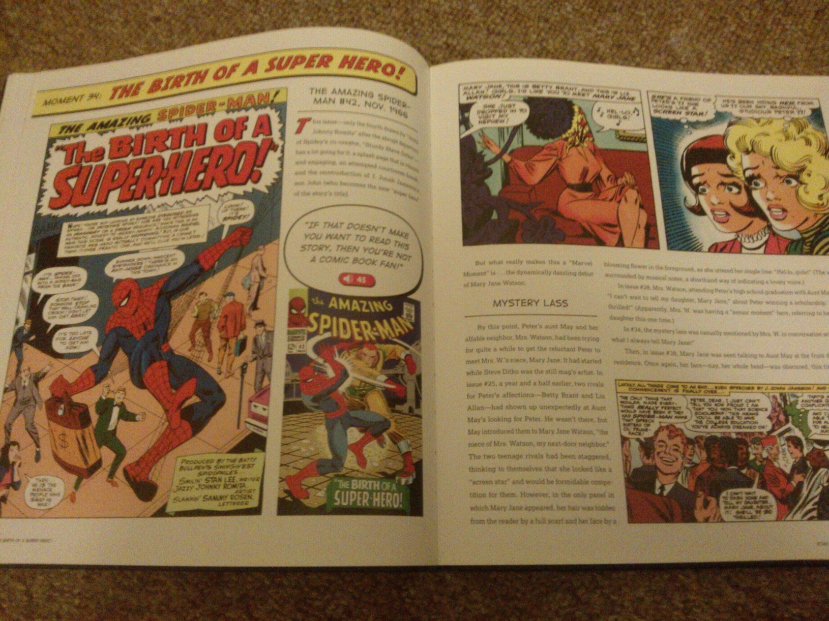 Stan Lee'S Amazing Marvel Universe,Used