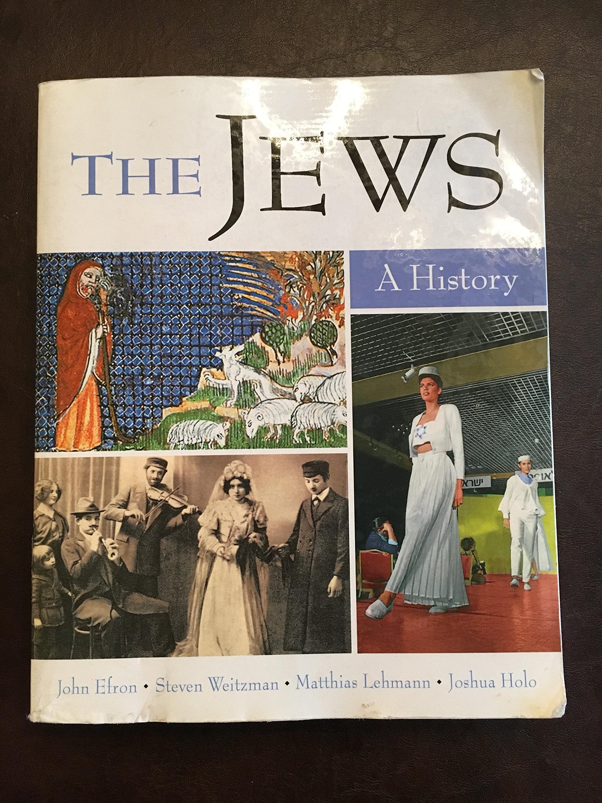 The Jews: A History,New