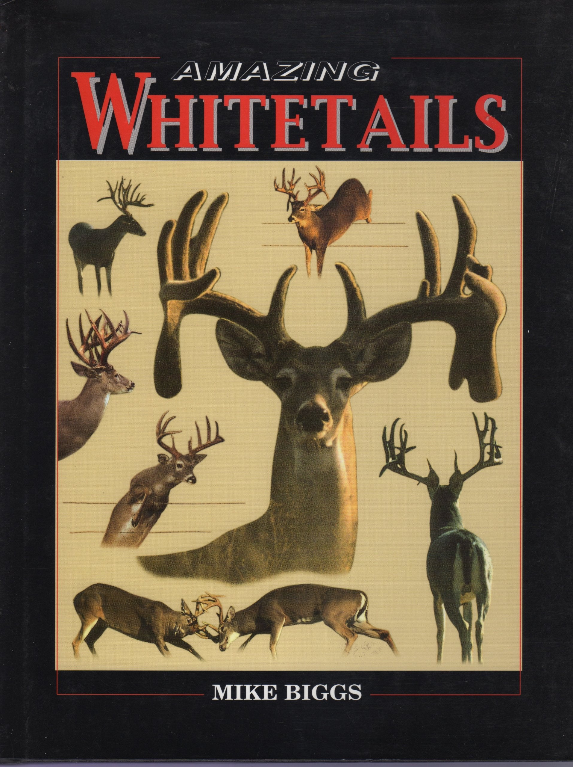 Amazing Whitetails,Used