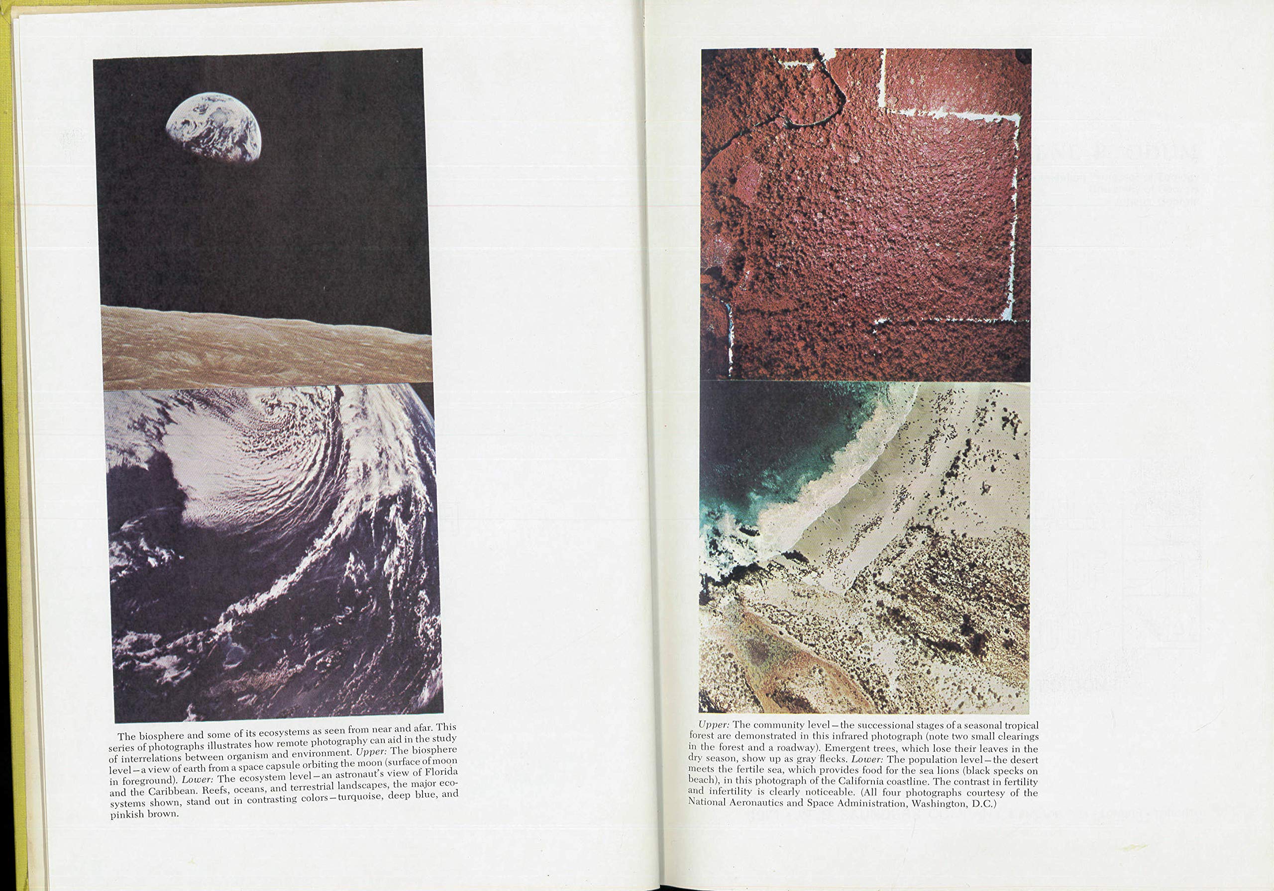 Fundamentals Of Ecology,Used