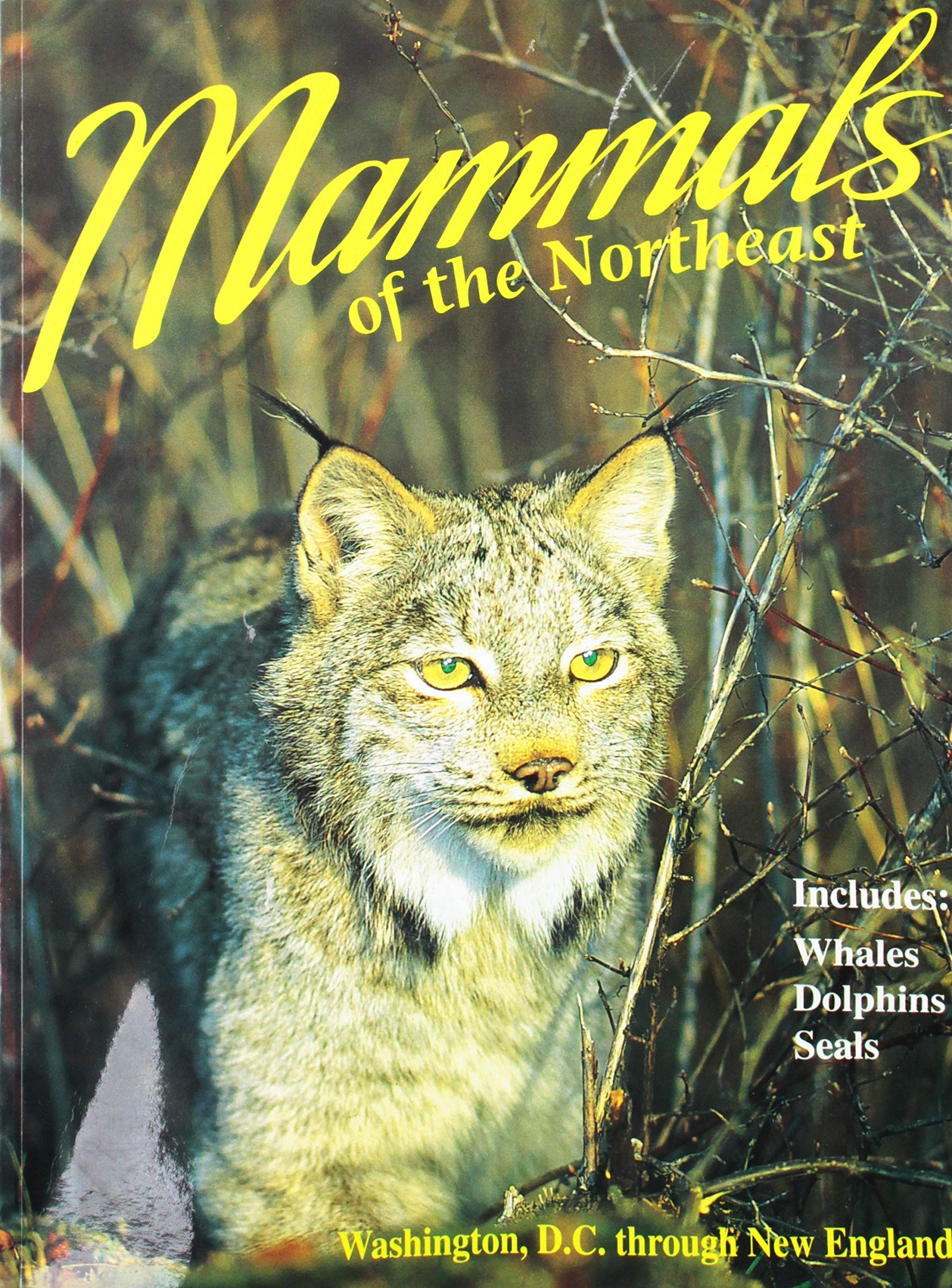 Mammals of the Northeast (Northeast Natyre),Used