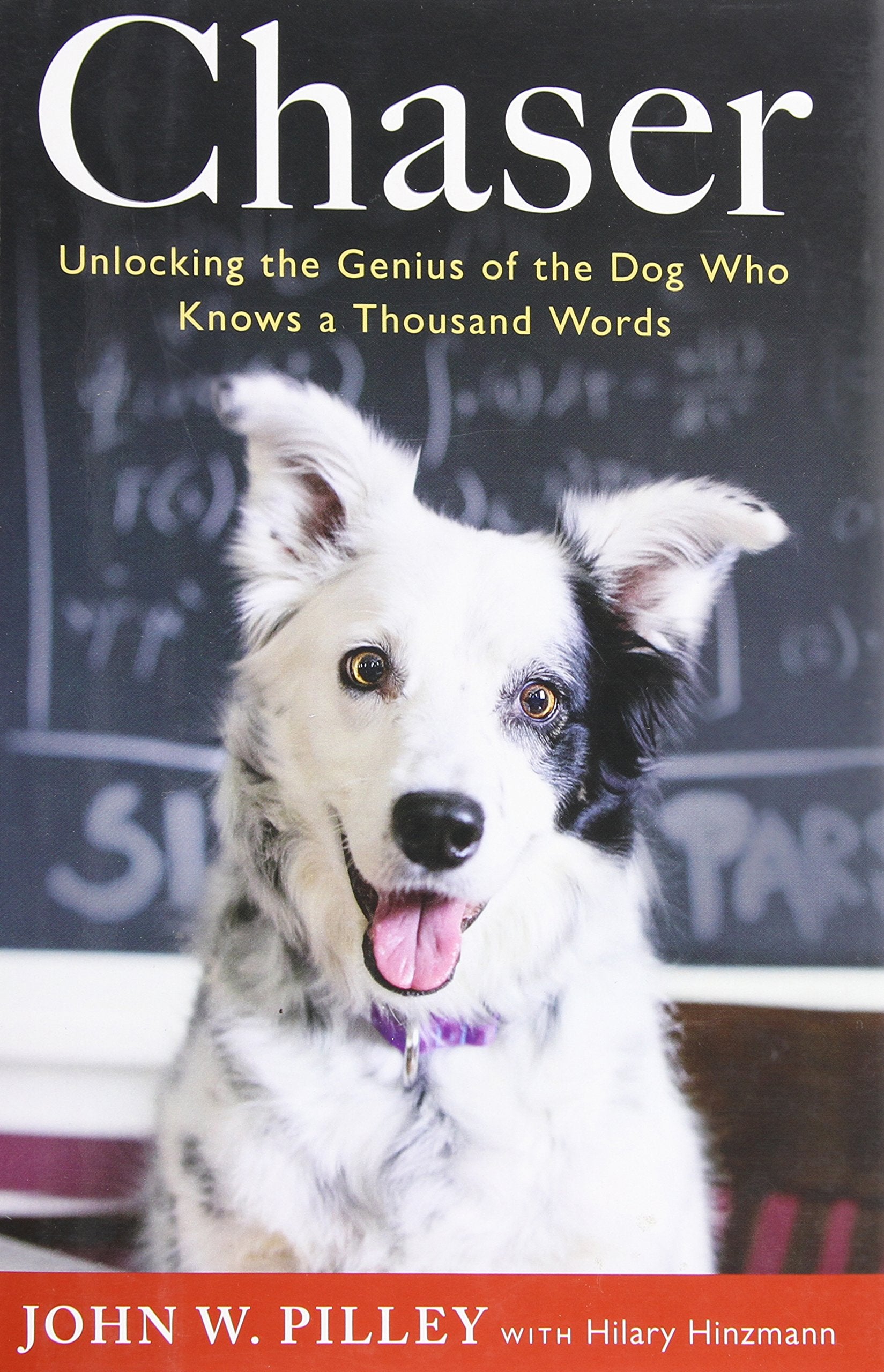 Chaser: Unlocking The Genius Of The Dog Who Knows A Thousand Words,New