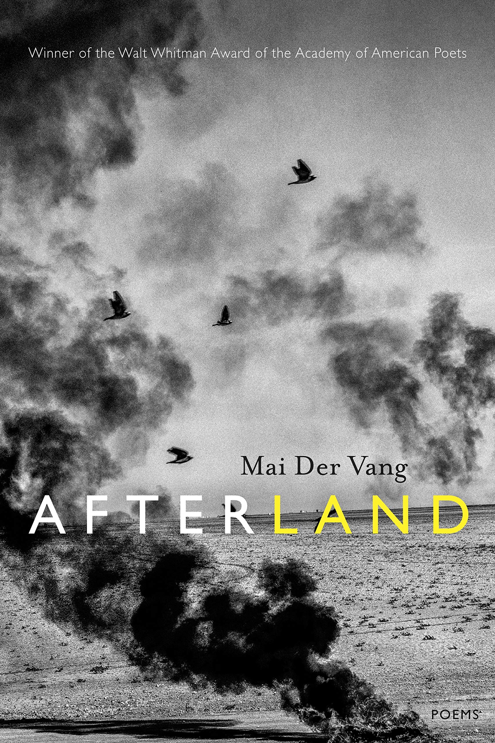 Afterland: Poems,Used