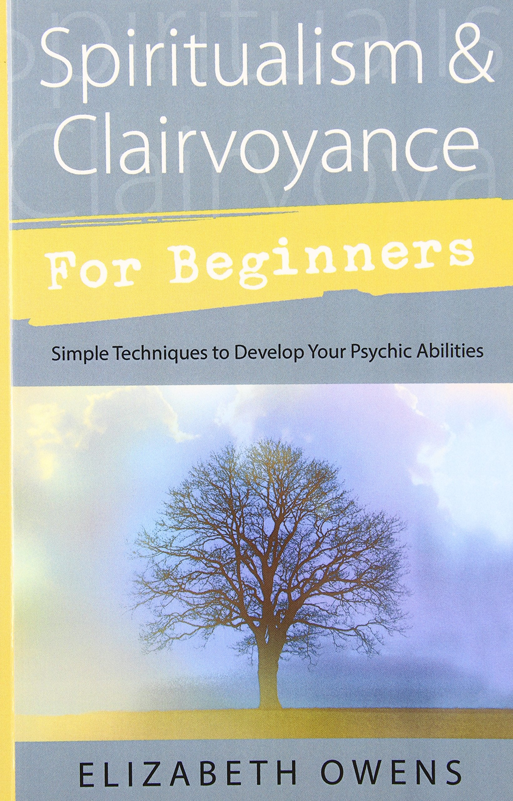 Spiritualism & Clairvoyance For Beginners: Simple Techniques To Develop Your Psychic Abilities (Llewellyn'S For Beginners, 18),New