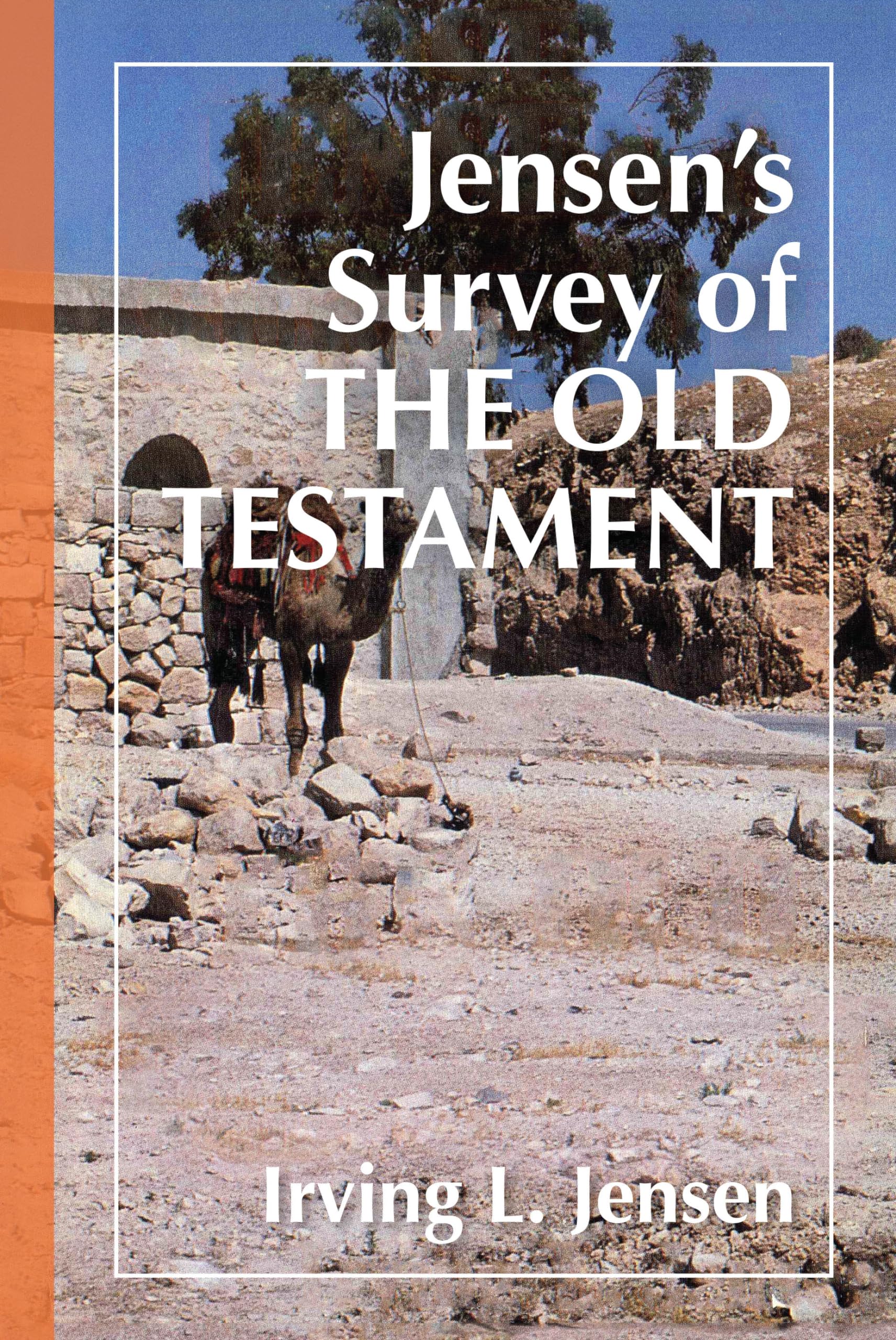 Jensen'S Survey Of The Old Testament: Search And Discover,Used