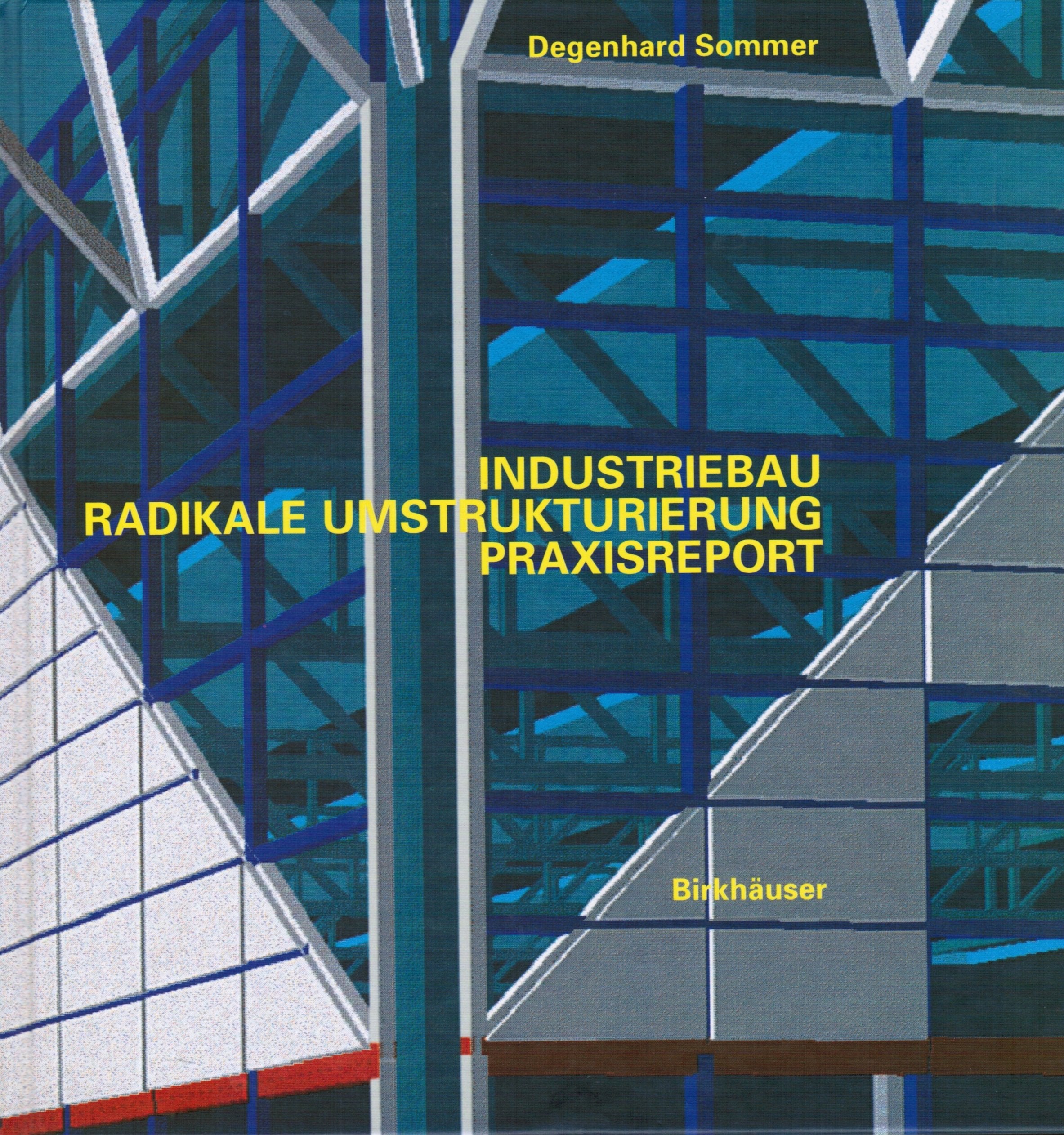 Industriebau. Radikale Umstrukturierung. Praxisreport (English and German Edition),Used