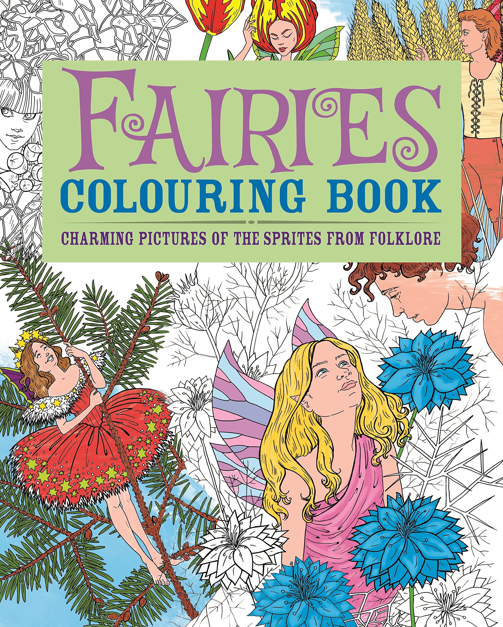 Fairies Coloring Book: Charming Pictures of the Sprites from Folklore,Used