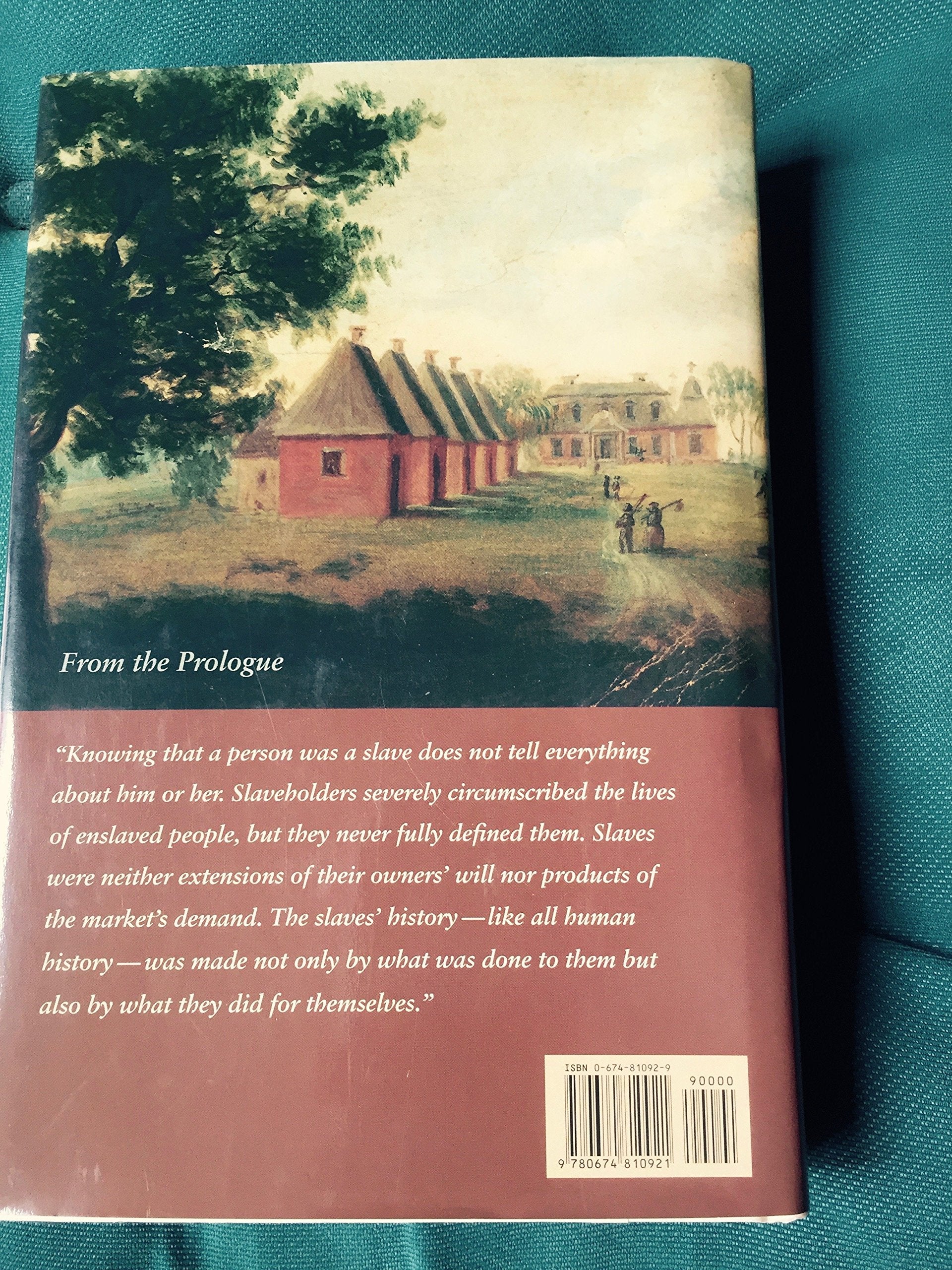 Many Thousands Gone: The First Two Centuries of Slavery in North America,Used