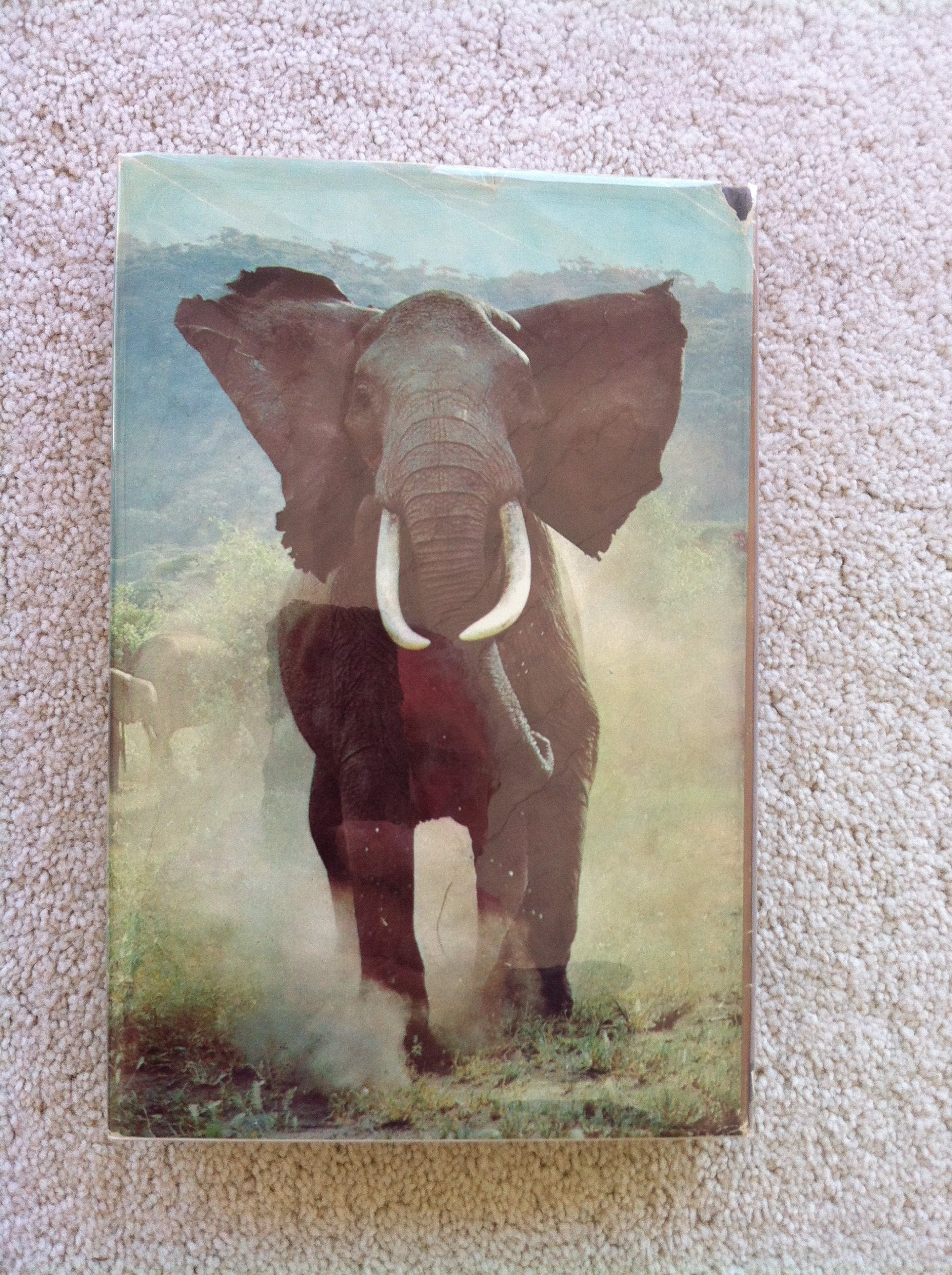 Among The Elephants,Used