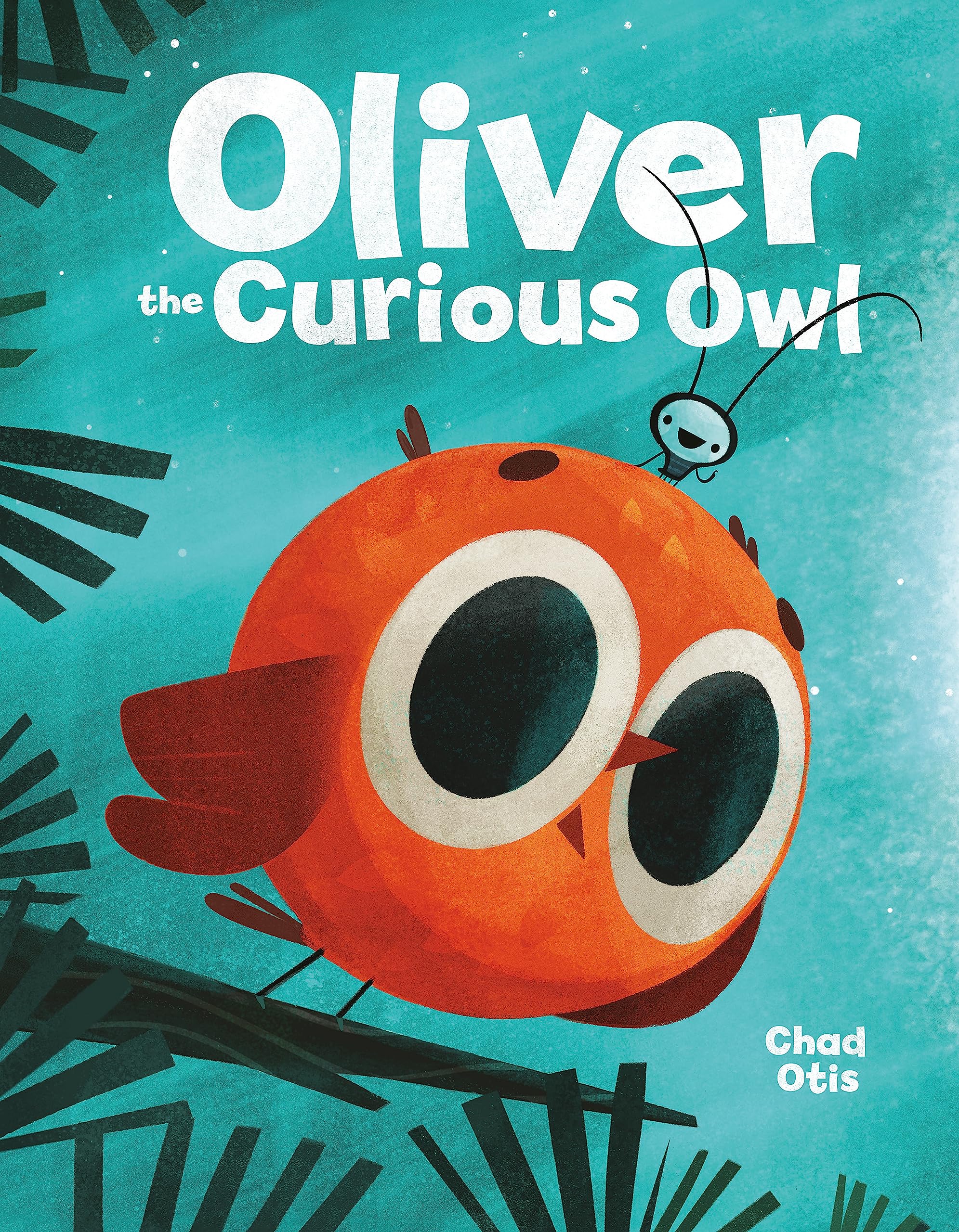 Oliver The Curious Owl