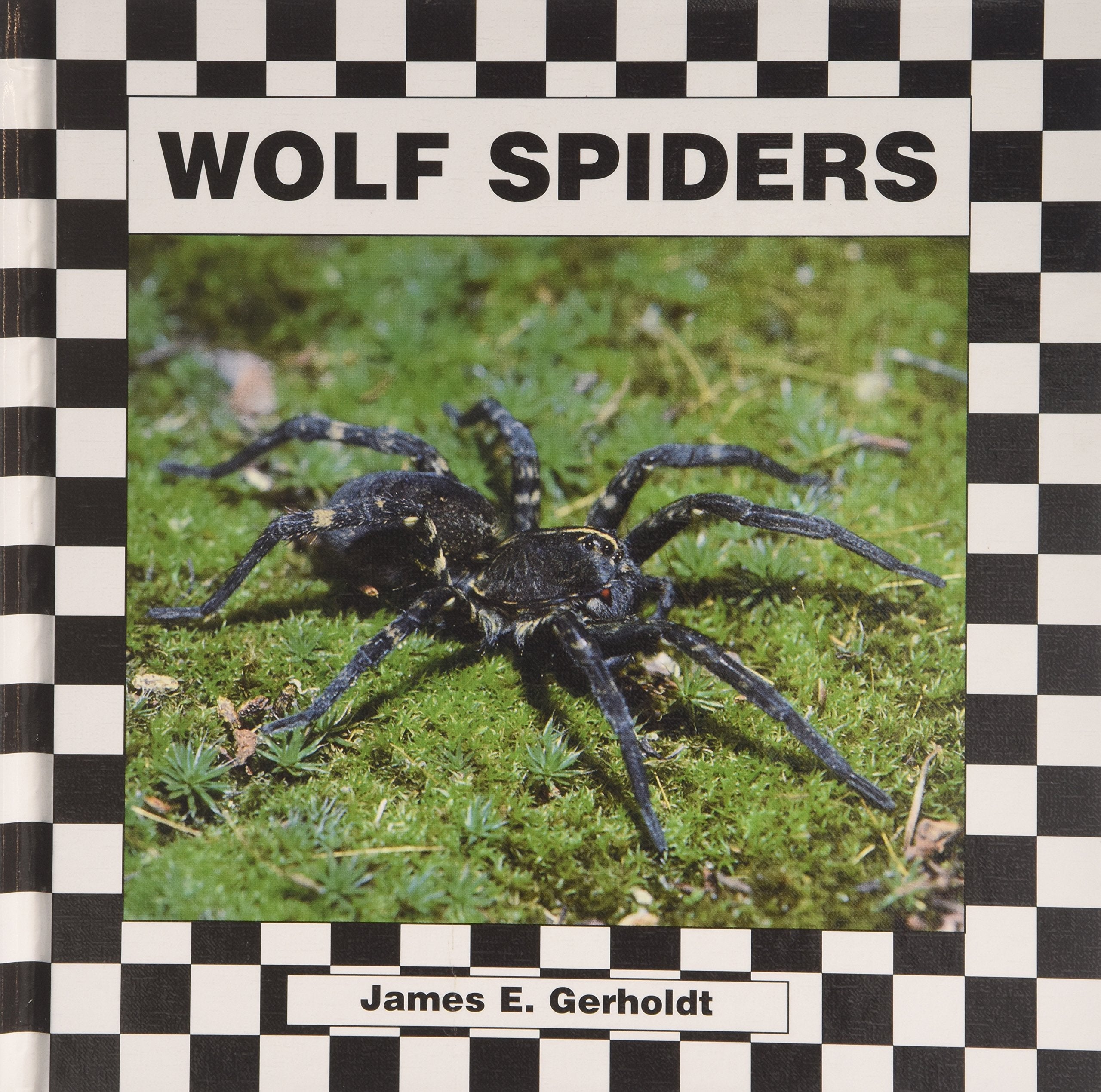 Wolf Spiders,Used