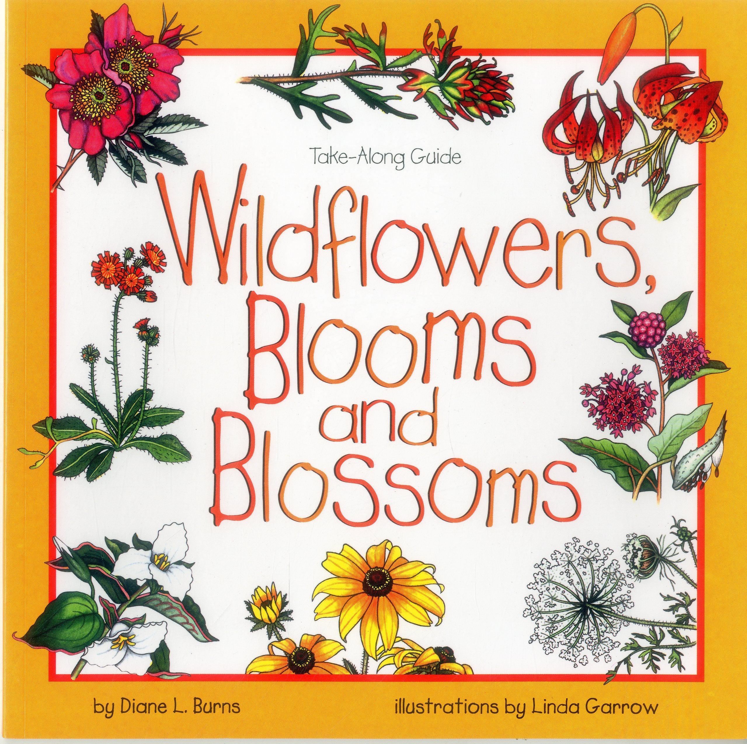 Wildflowers, Blooms & Blossoms (Take Along Guides),Used
