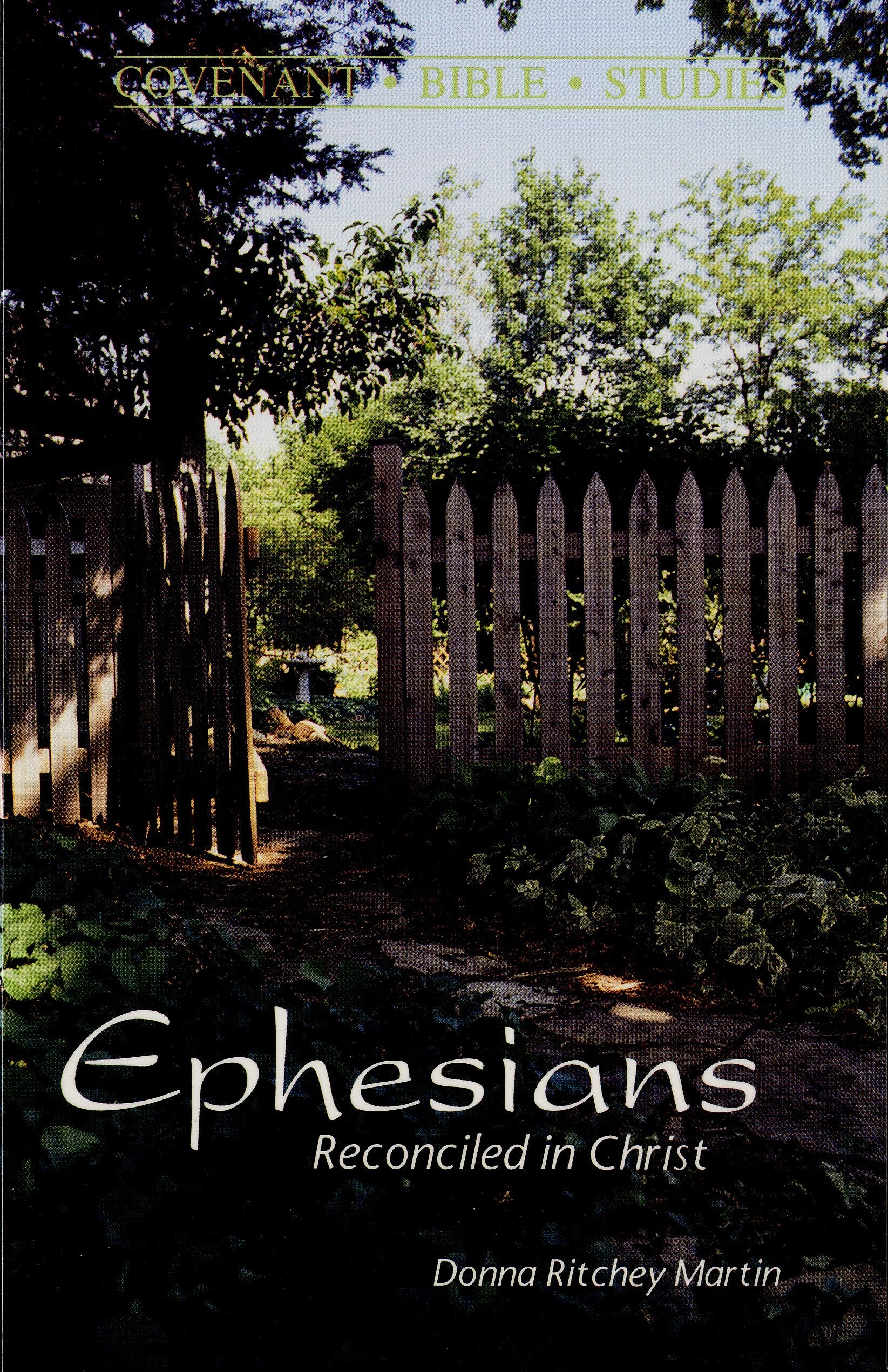 Ephesians: Reconciled in Christ (Covenant Bible studies),Used