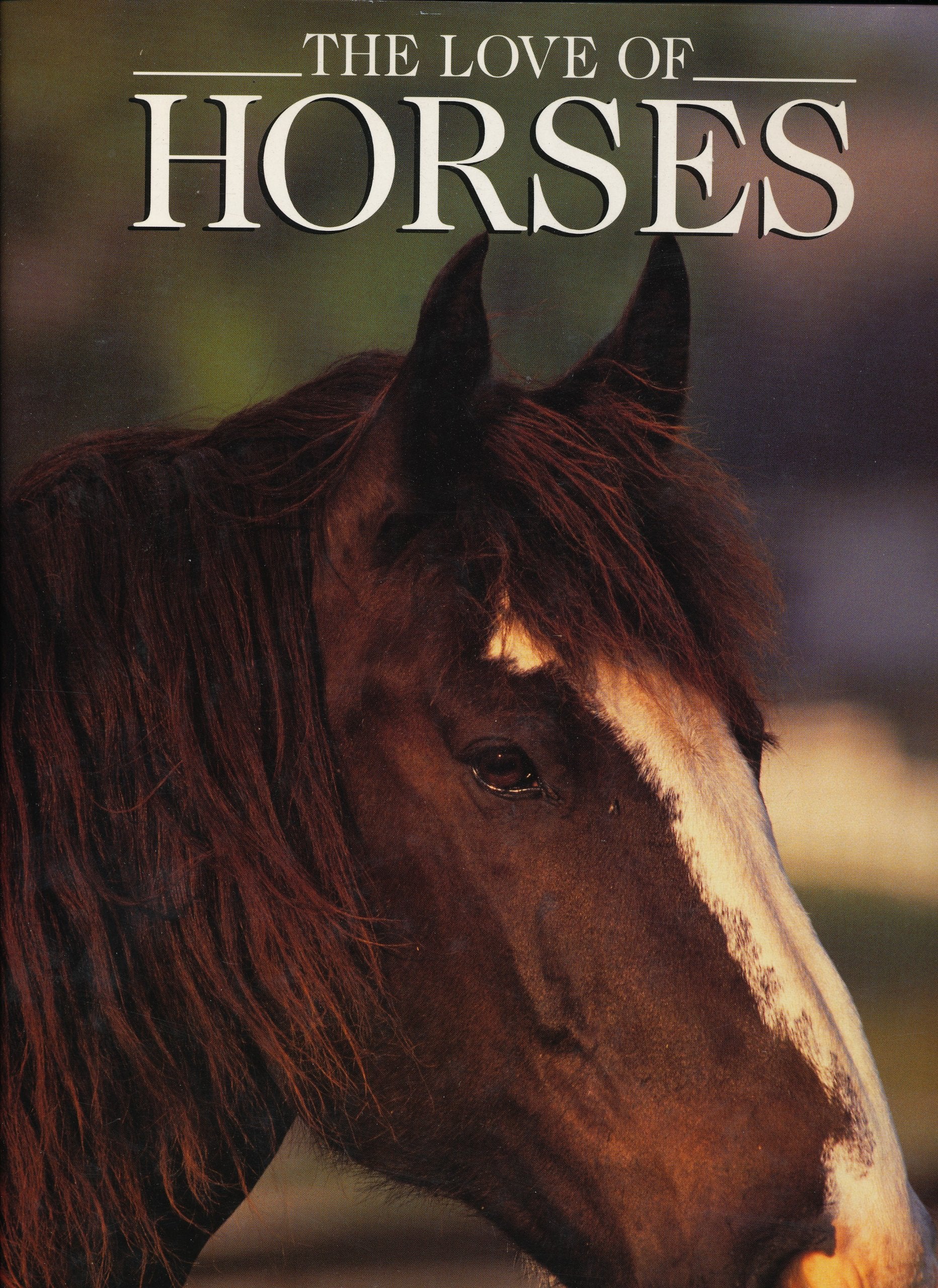 The Love of Horses,Used