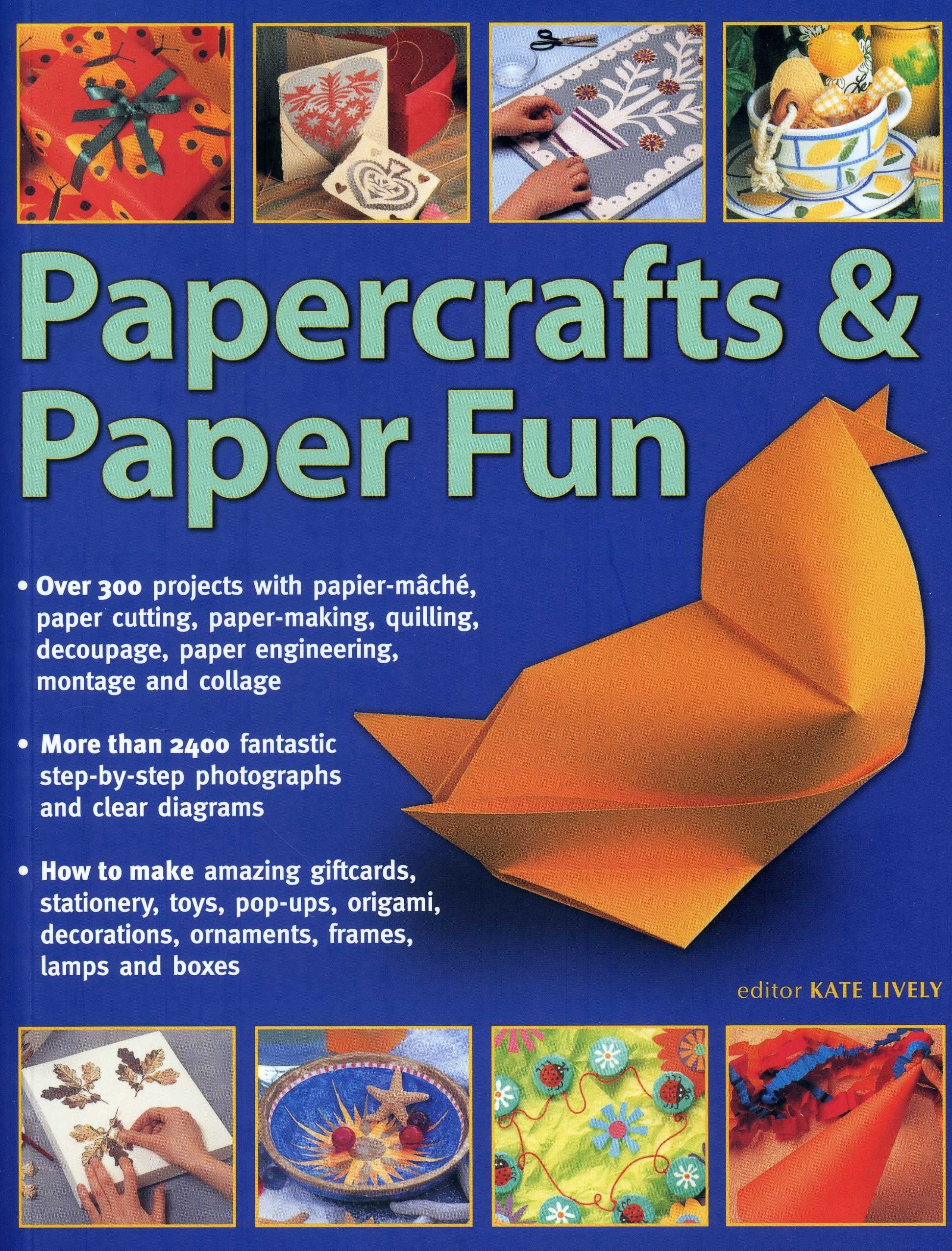 Papercrafts & Paper Fun: Over 300 Projects With PapierMache, PaperCutting, PaperMaking, Quilling, Decoupage, Paper Engineerin,Used