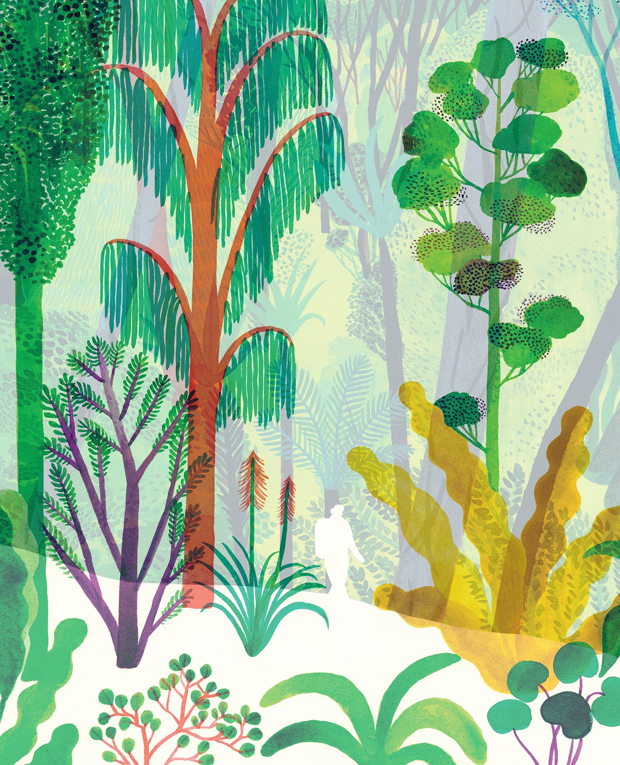 The Forest,Used