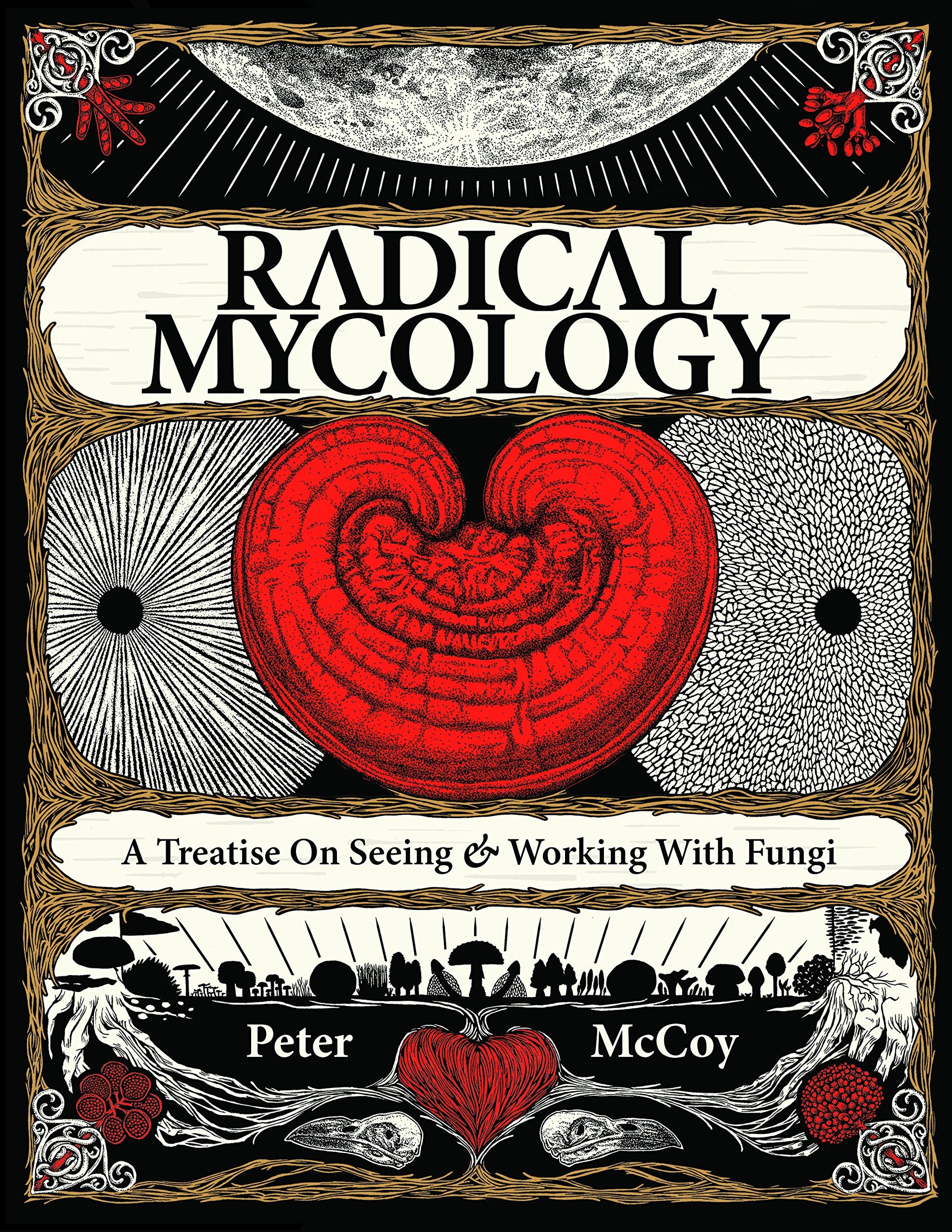 Radical Mycology: A Treatise On Seeing & Working With Fungi,New