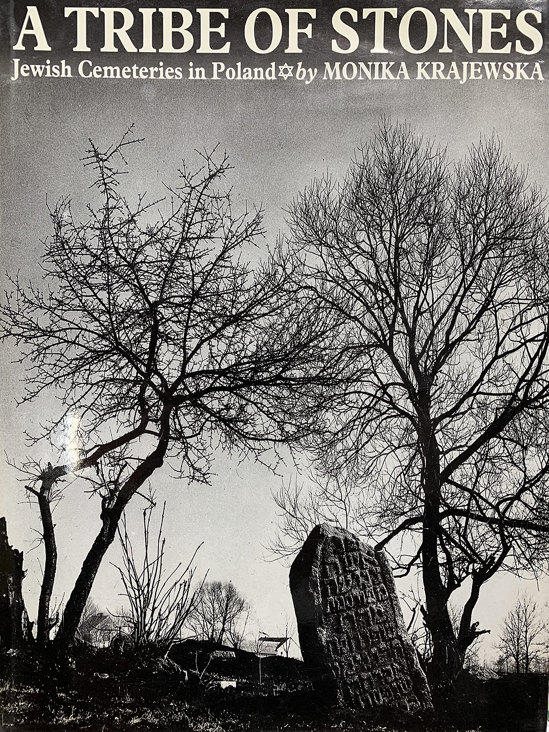 A Tribe of Stones: Jewish Cemeteries in Poland,Used