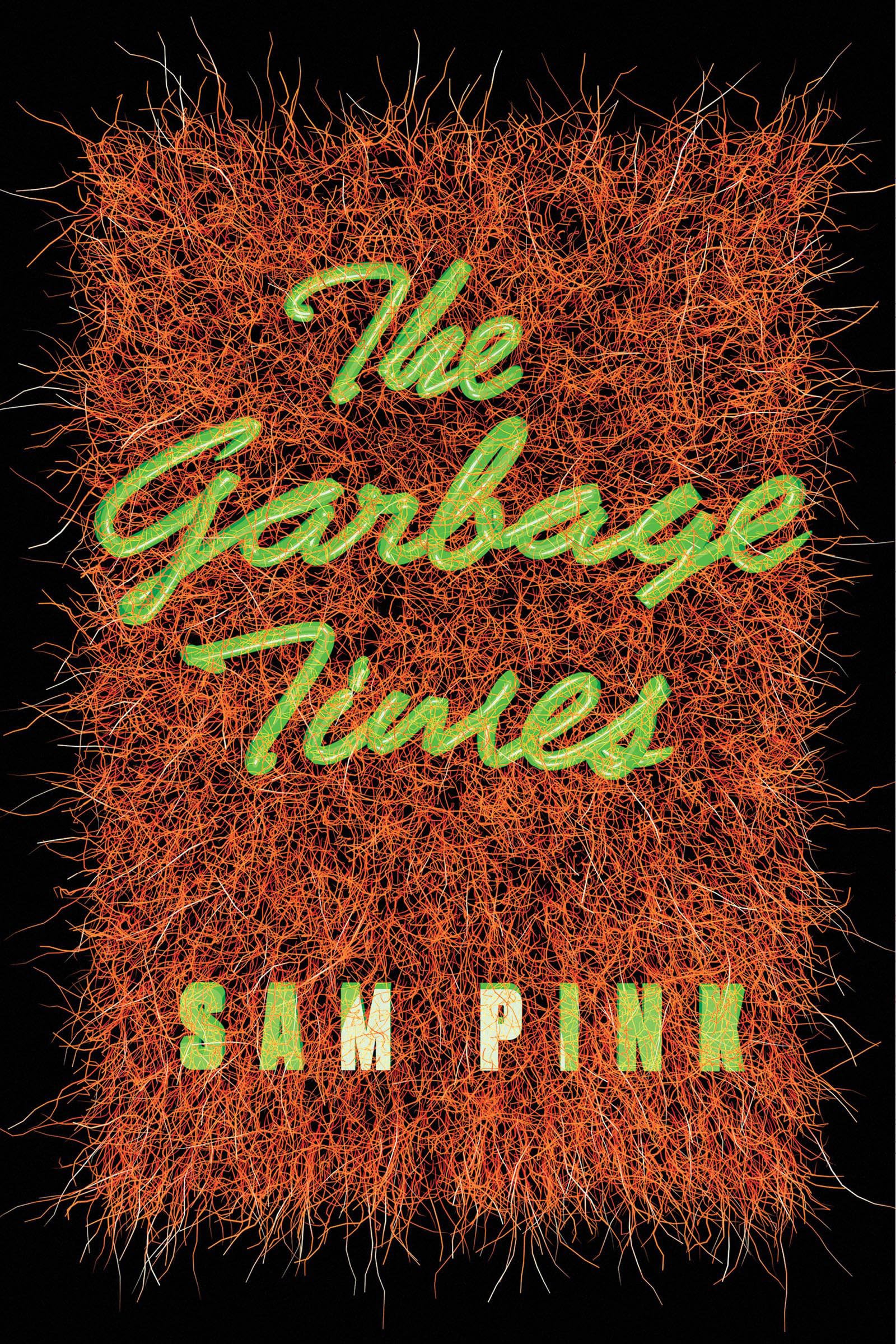 The Garbage Times/White Ibis: Two Novellas,Used