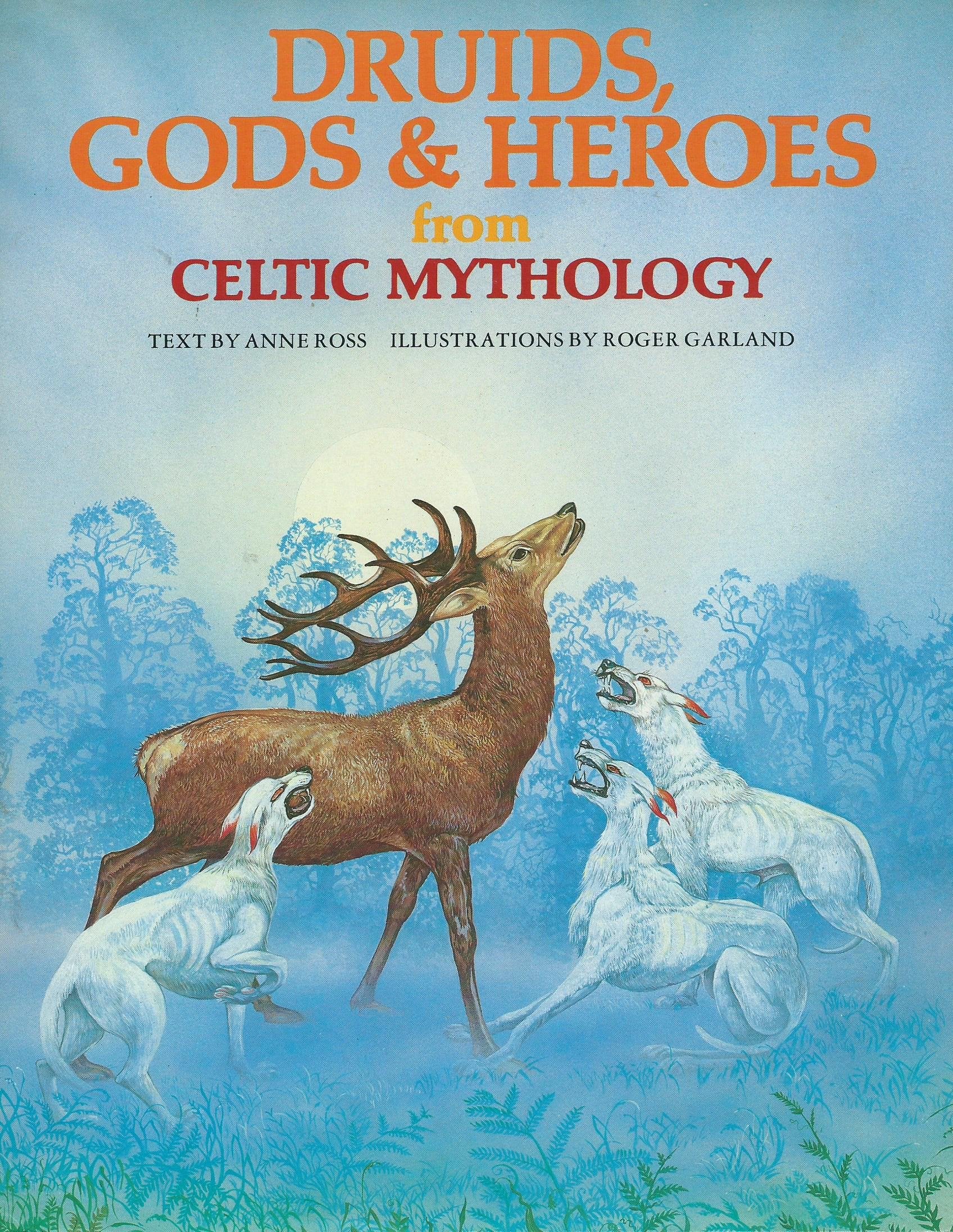 Druids, Gods And Heroes From Celtic Mythology (World Mythologies),New