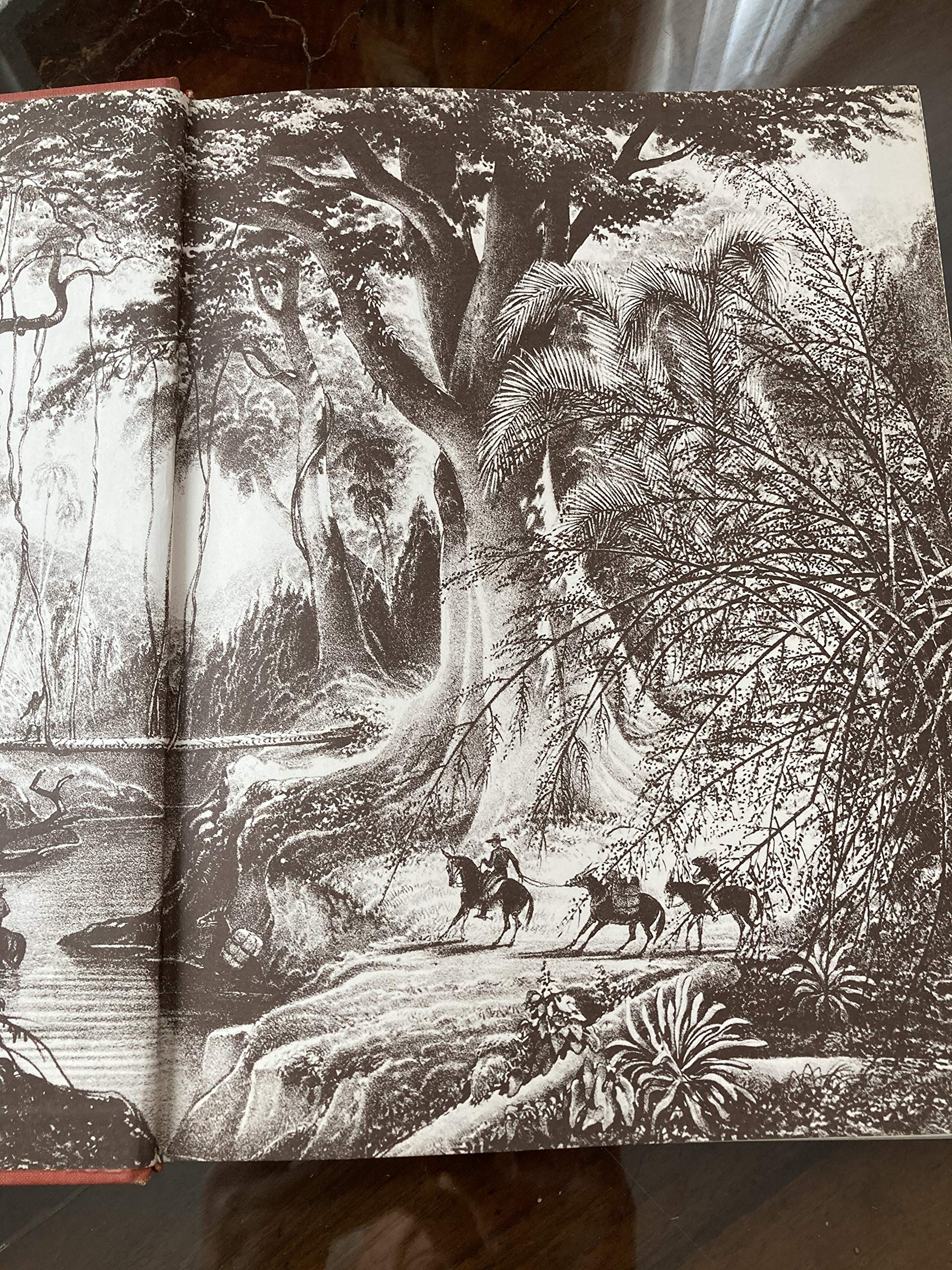 Humboldt And The Cosmos,Used