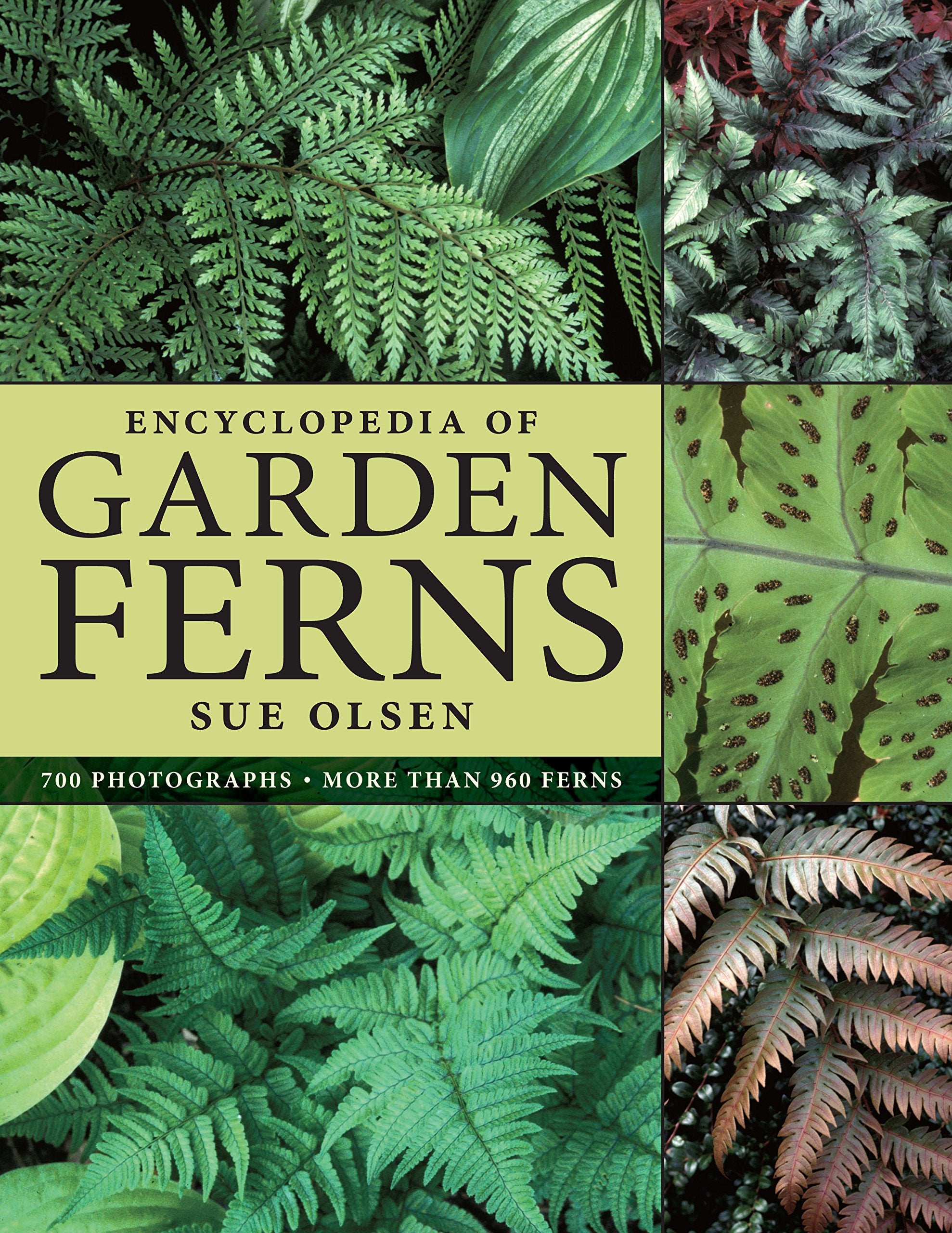 Encyclopedia of Garden Ferns,New