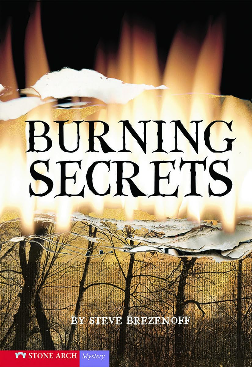 Burning Secrets (Vortex Books),Used