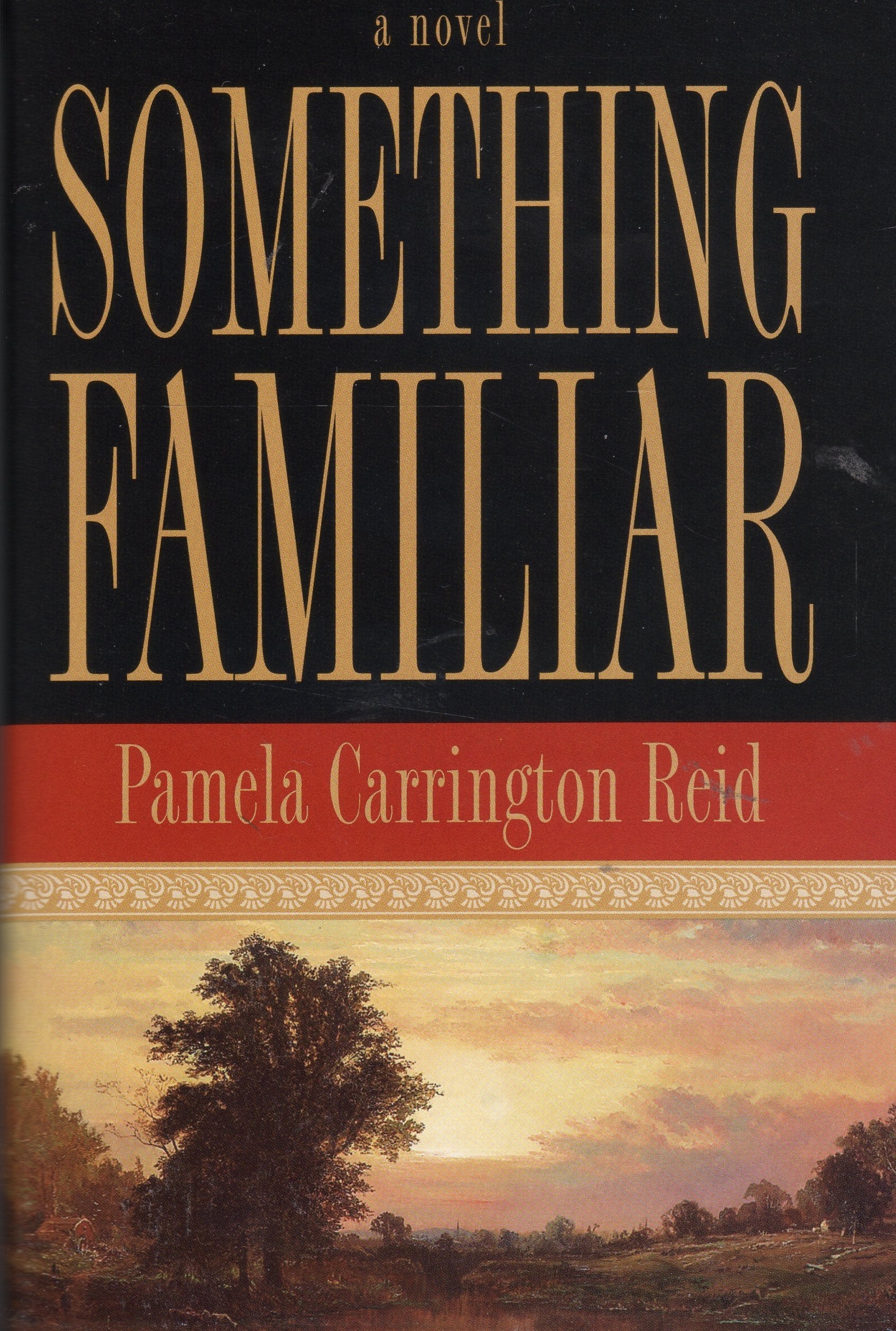 Something Familiar: A Novel,Used