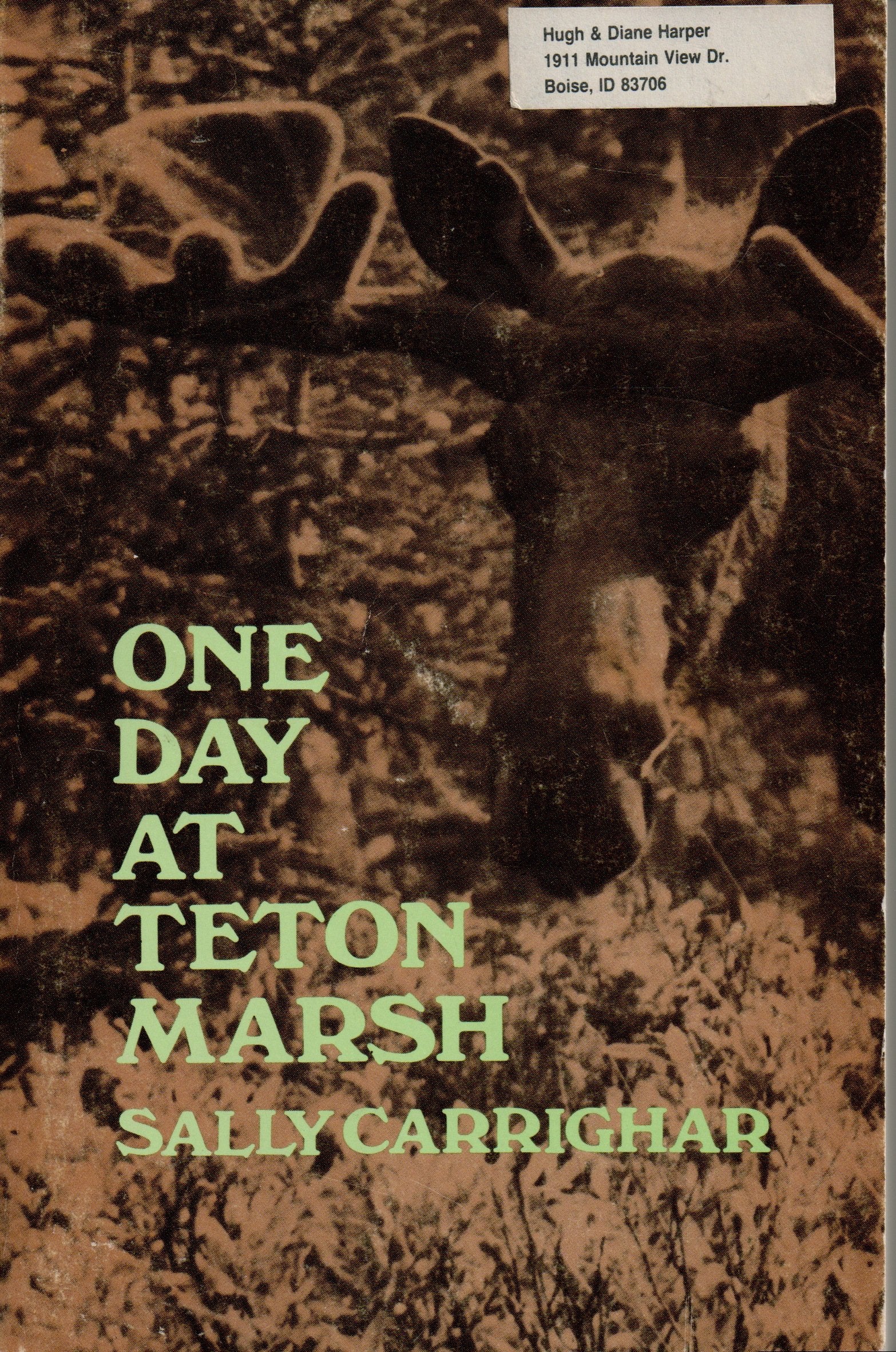One Day At Teton Marsh,Used