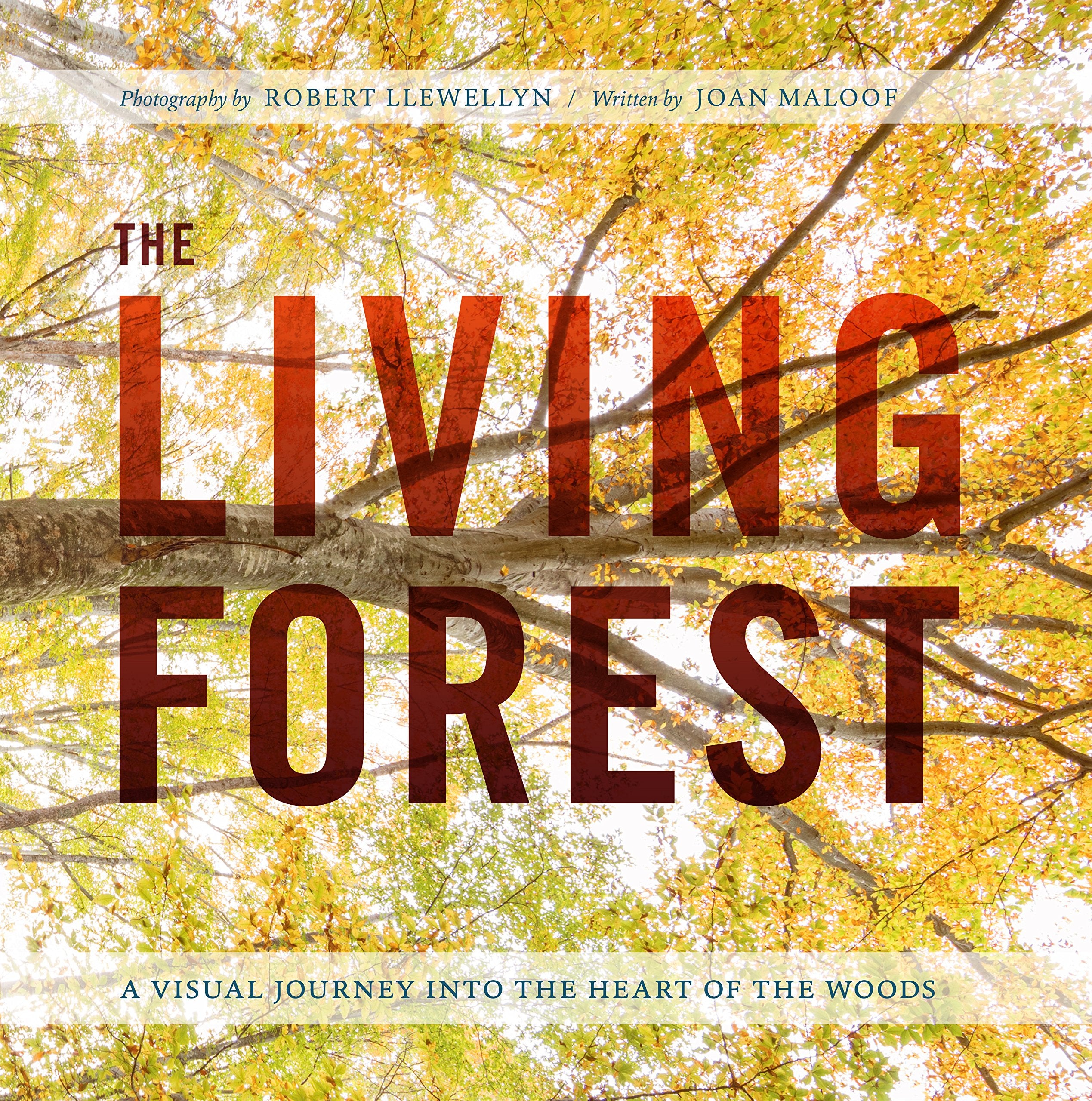 The Living Forest: A Visual Journey Into the Heart of the Woods,Used