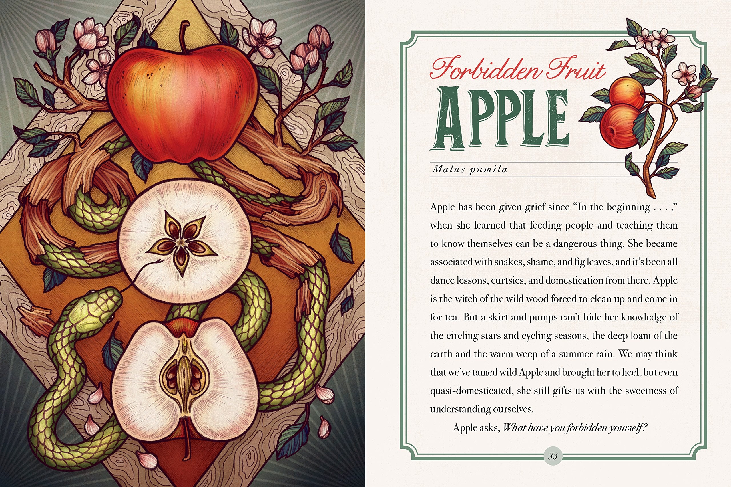 The Illustrated Herbiary: Guidance and Rituals from 36 Bewitching Botanicals (Wild Wisdom),Used