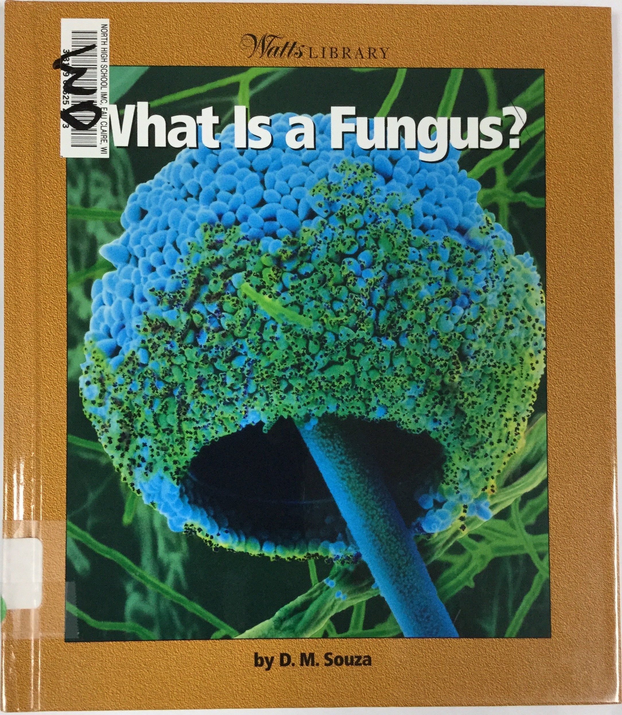 What Is a Fungus? (Watts Library: Plants and Fungi),Used